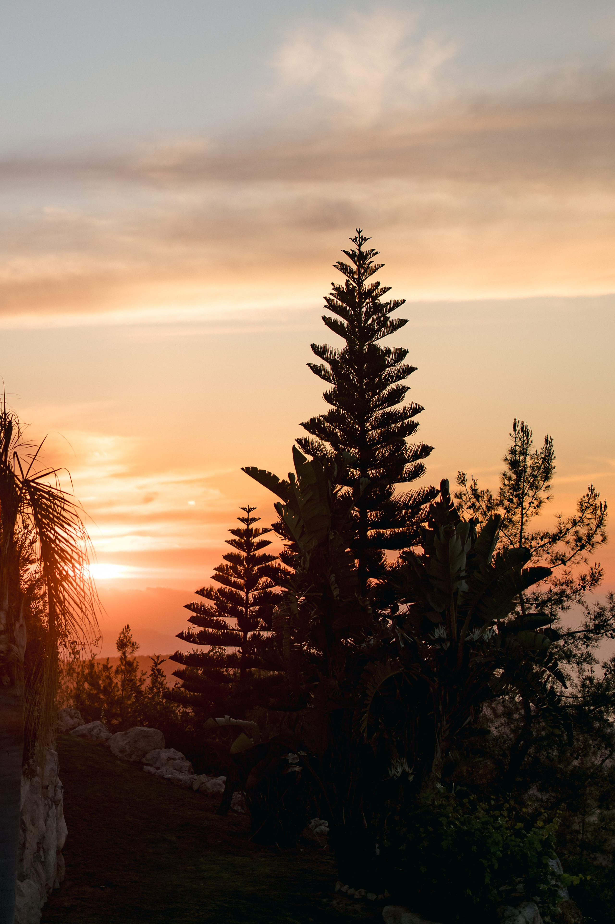 Вова Даша. Свадебный фотограф в Риге Руслан Федюшин