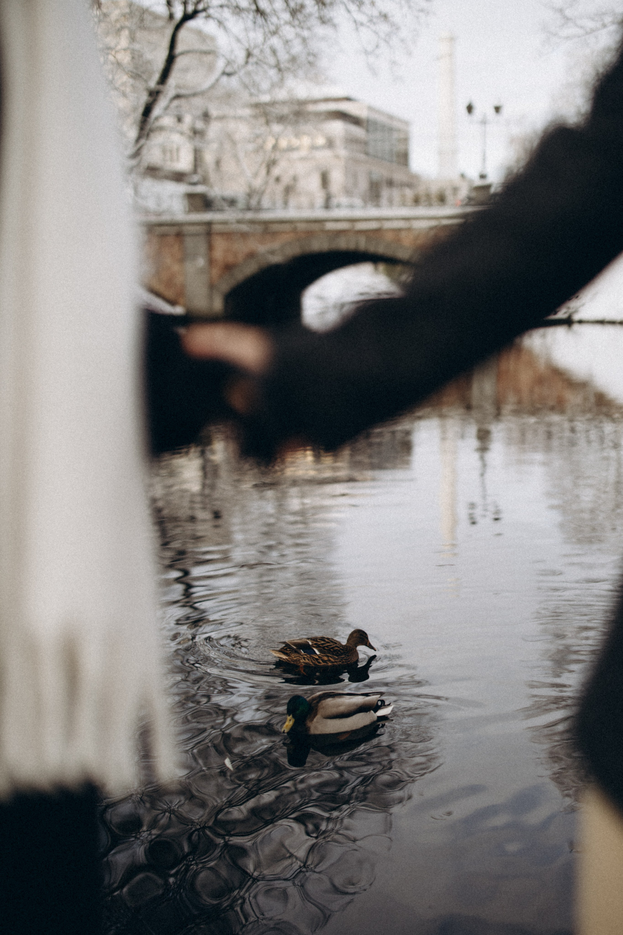 Samanta & Nils. Свадебный фотограф в Риге Руслан Федюшин