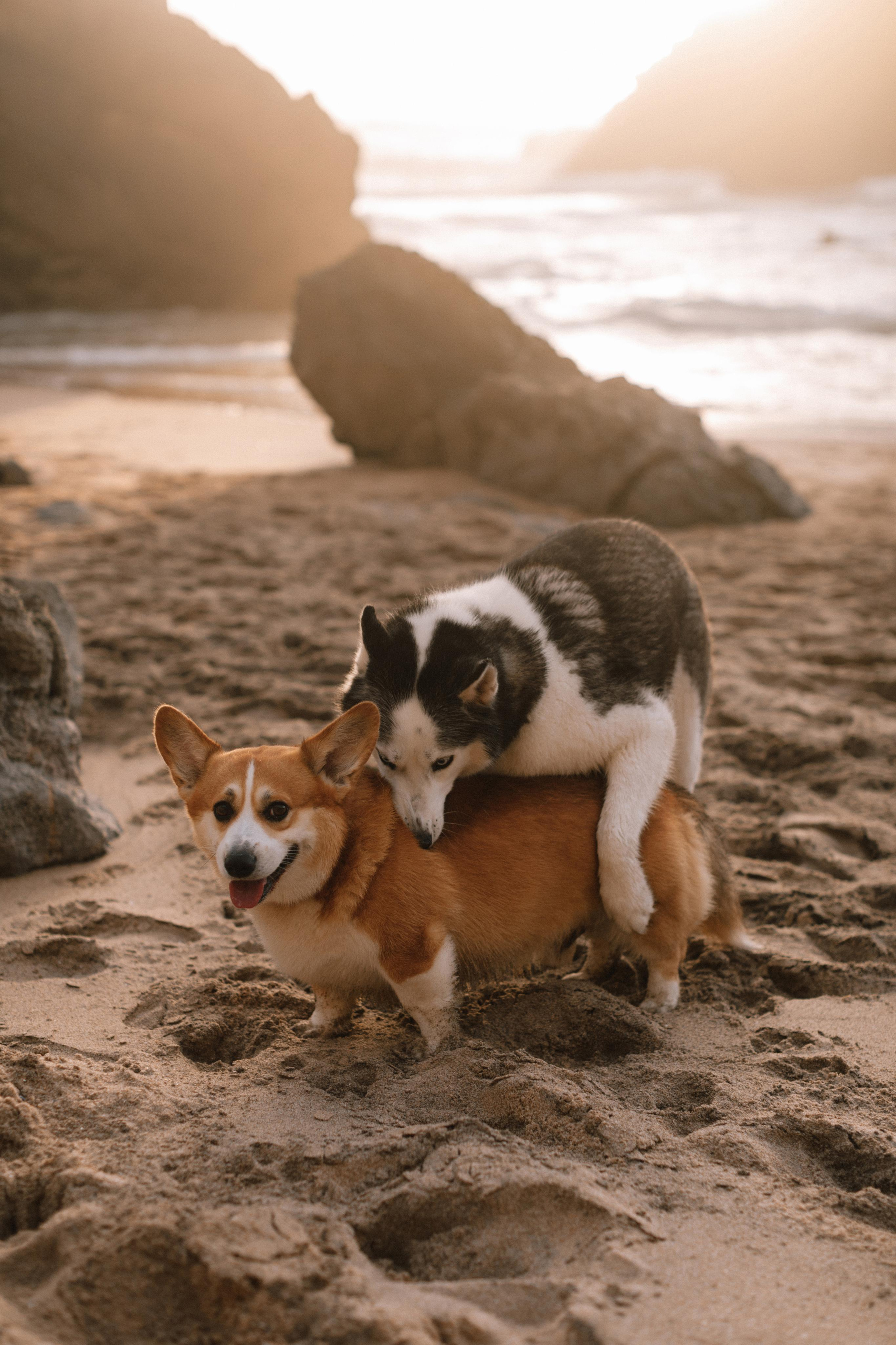 Аня и Саша. Свадебный фотограф в Риге Руслан Федюшин
