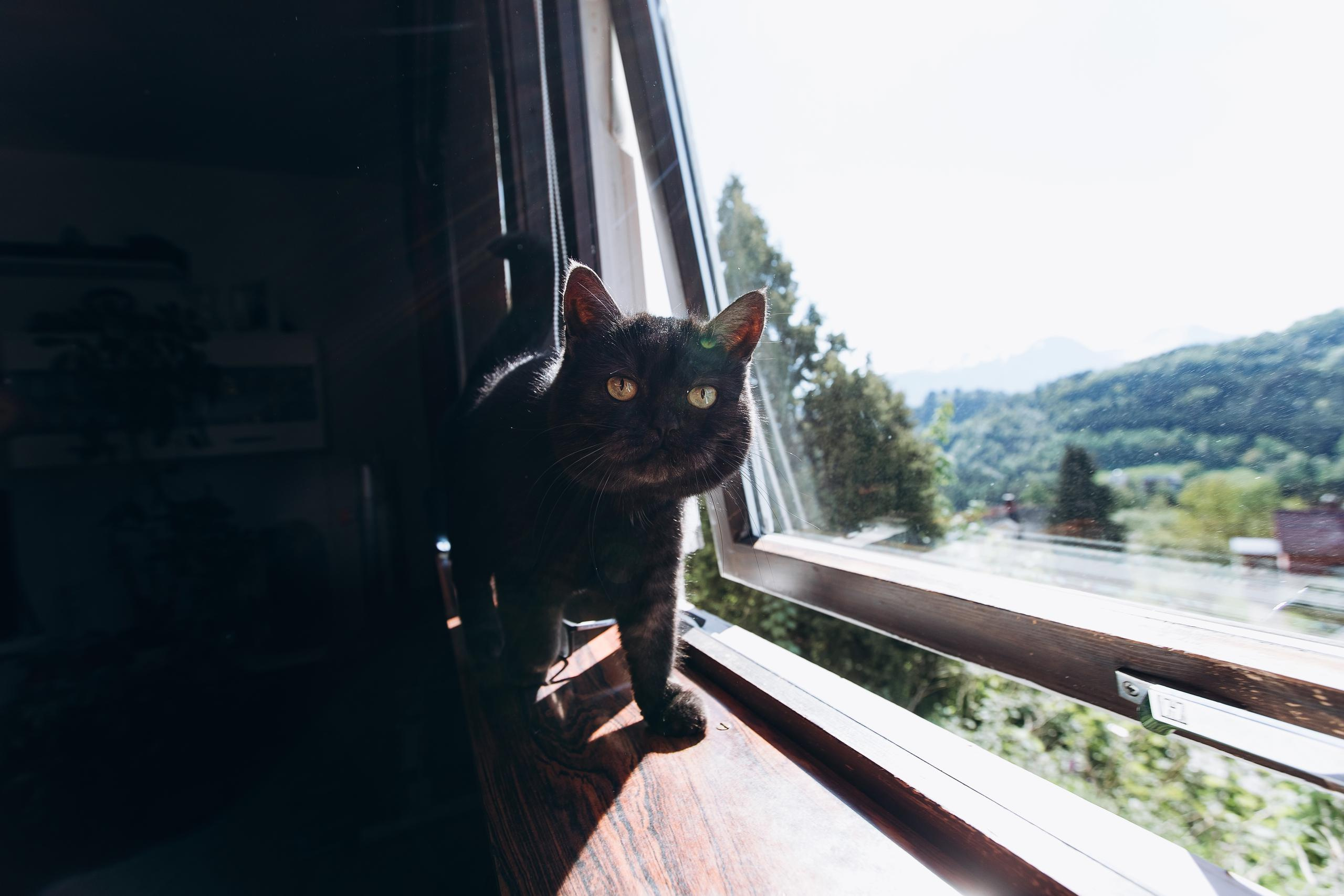 Ира и Андрюс. Норвегия. Свадебный фотограф в Риге Руслан Федюшин