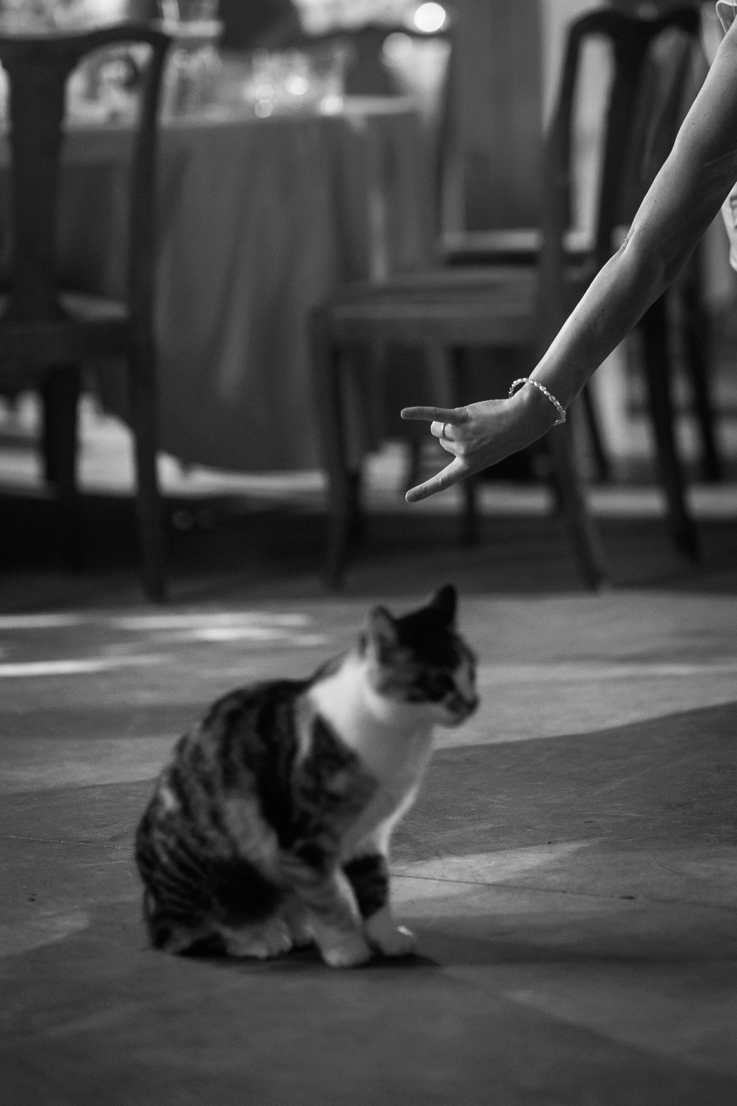 Agneta & Robert. Свадебный фотограф в Риге Руслан Федюшин