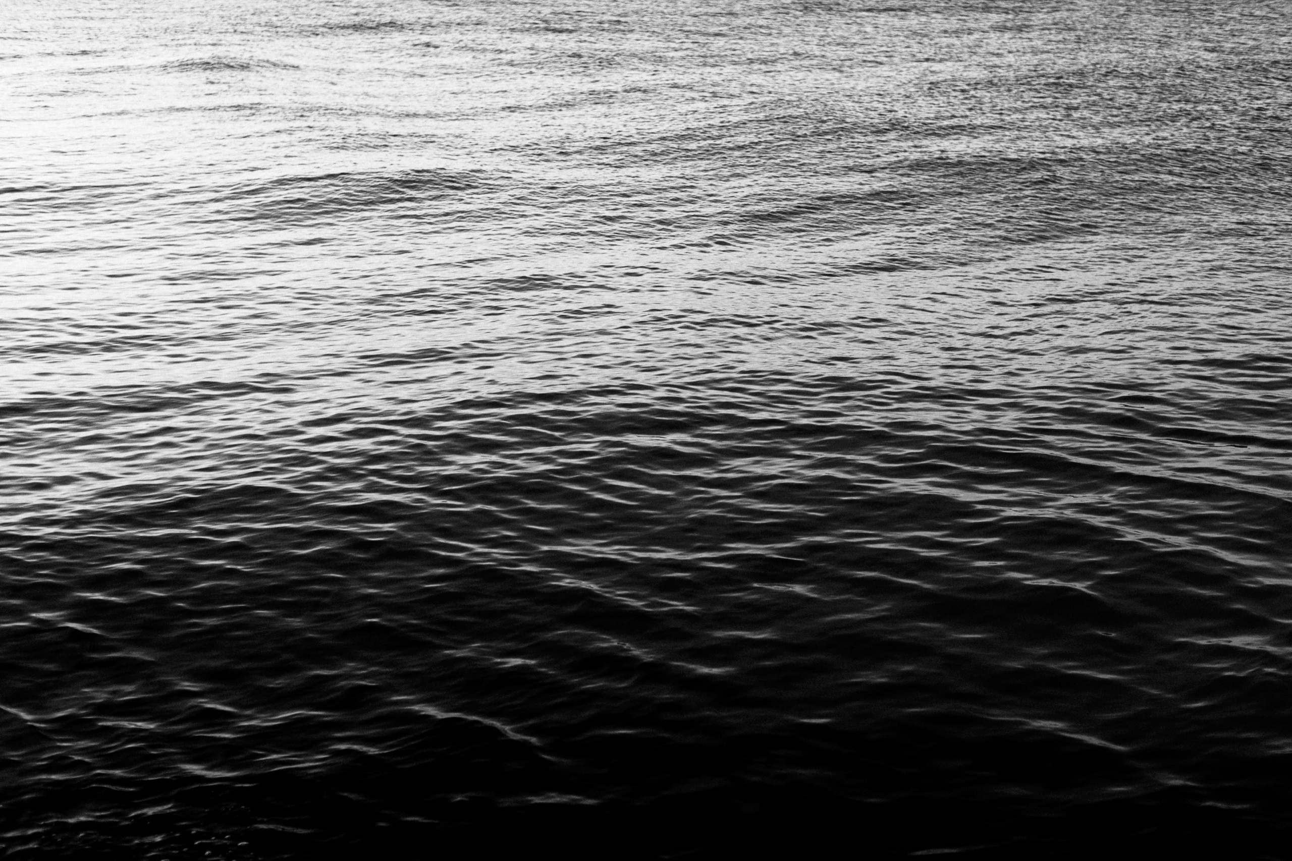 Лера & Леша. Свадебный фотограф в Риге Руслан Федюшин