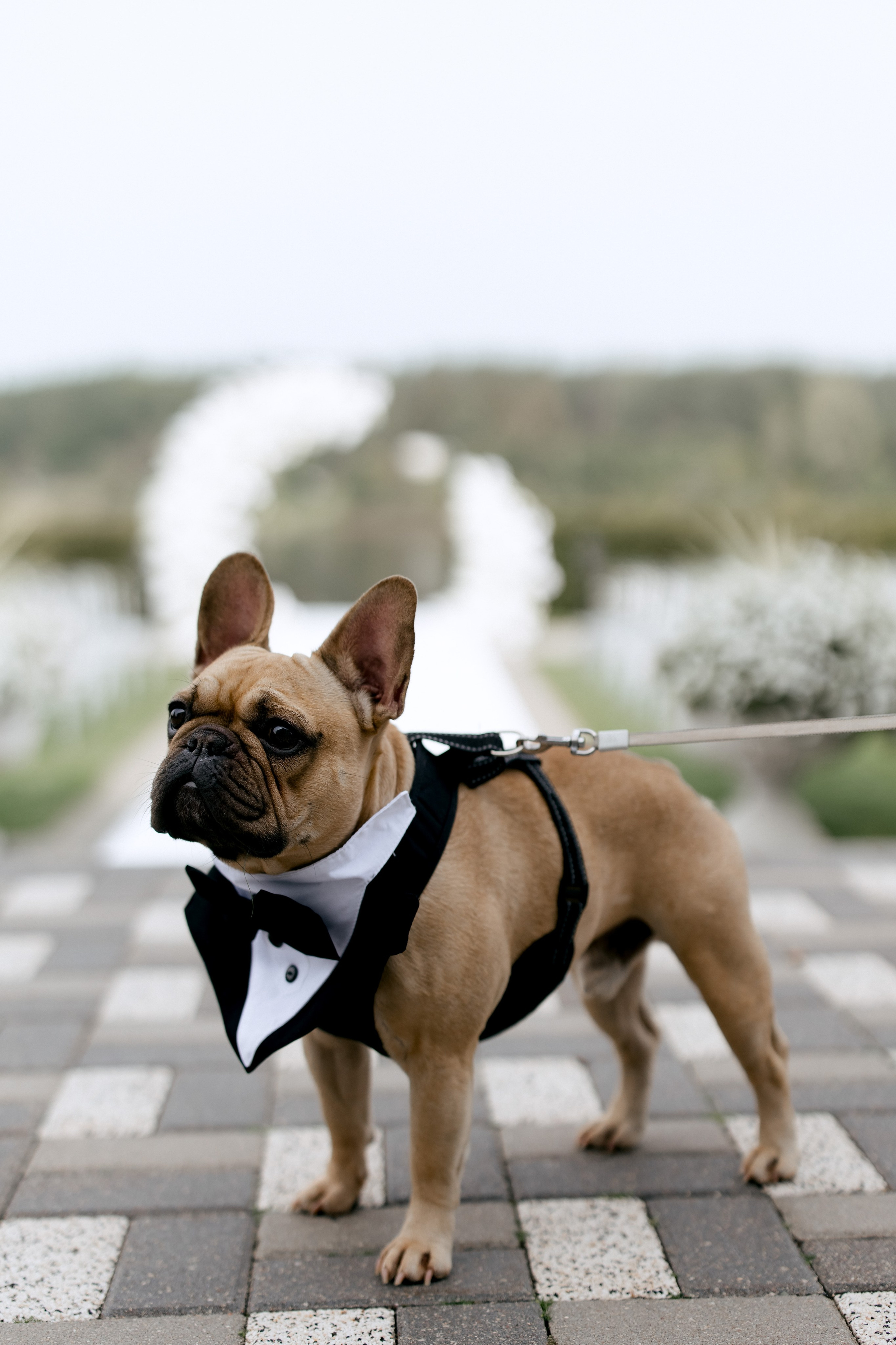 Марина & Андрей. Свадебный фотограф в Риге Руслан Федюшин