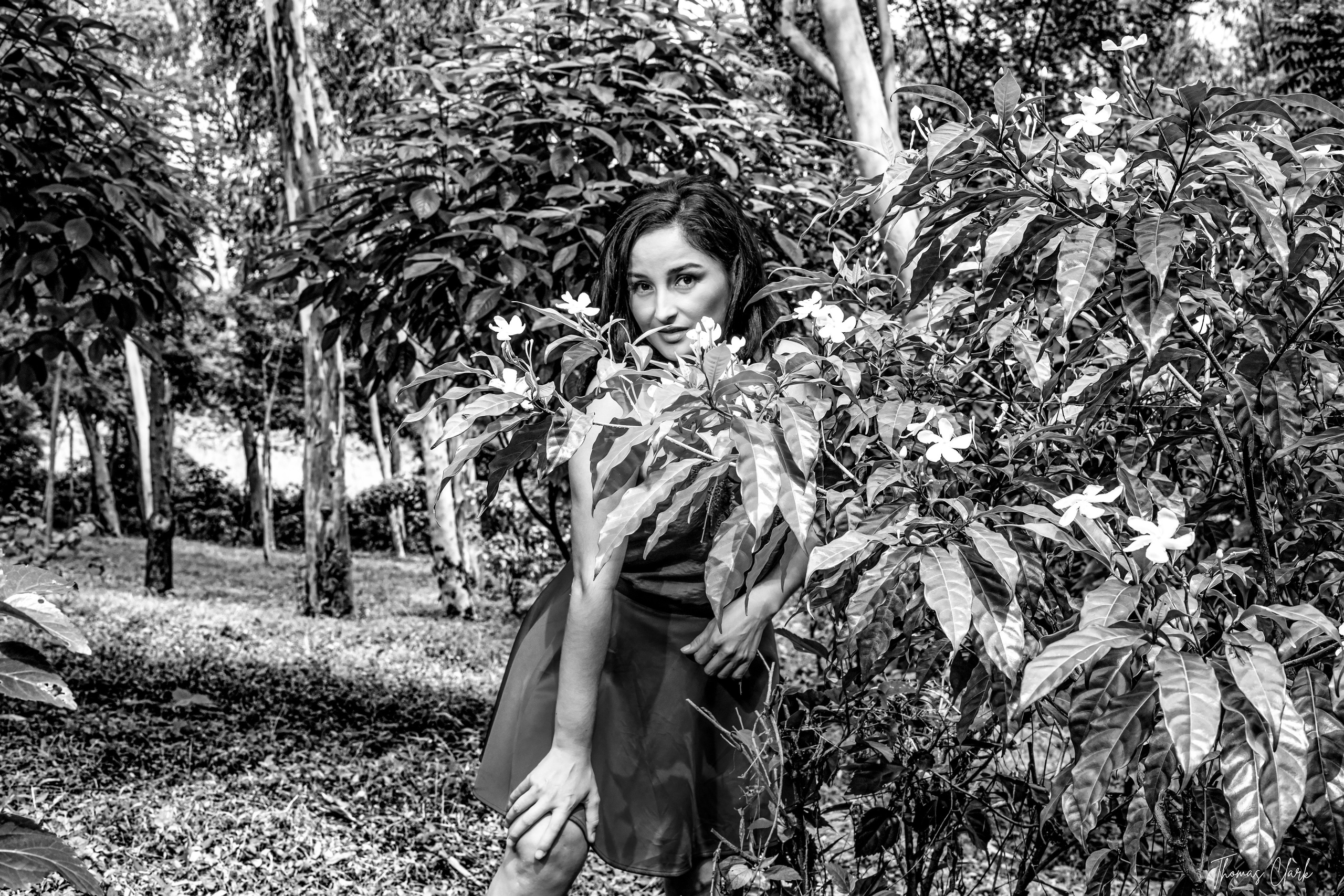 Ana Luisa. Thomas Clark photography