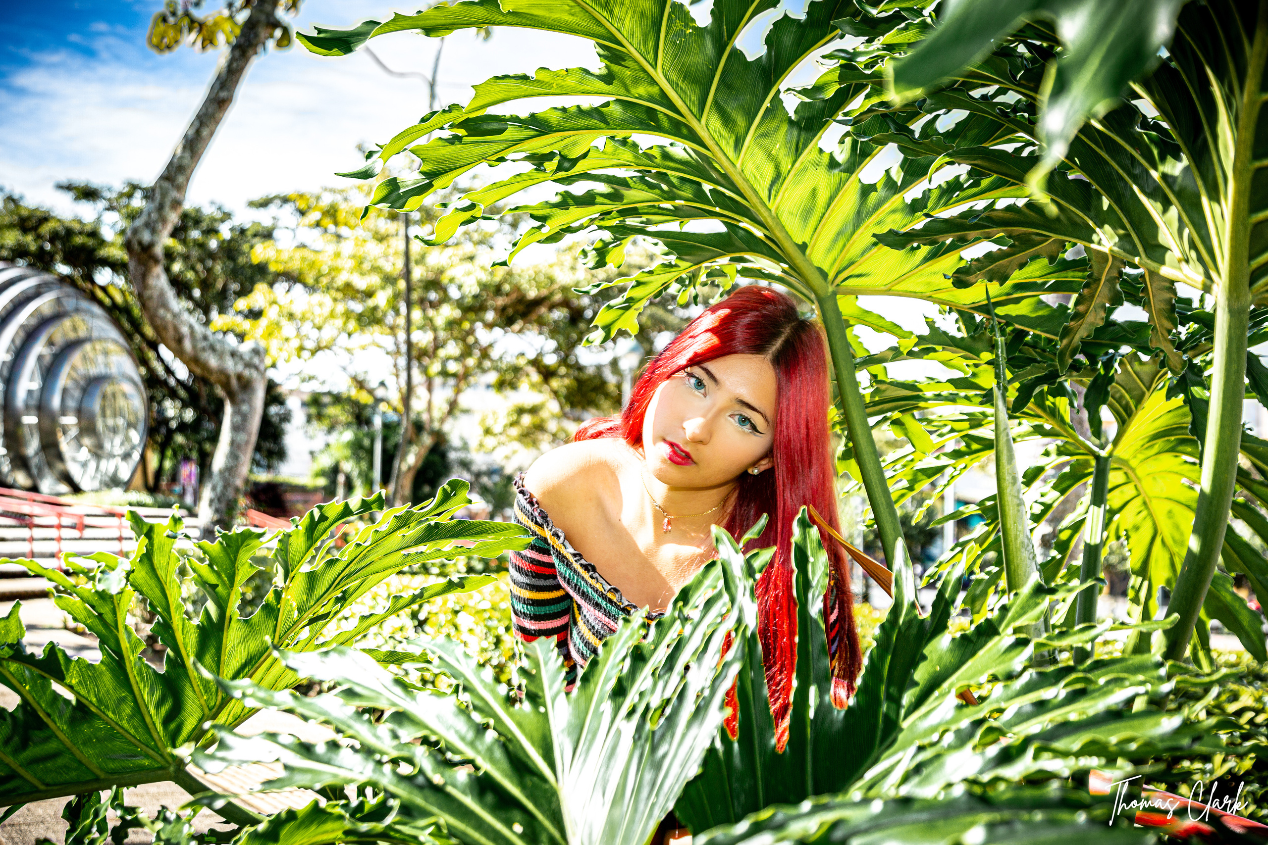 Sofi. Thomas Clark photography