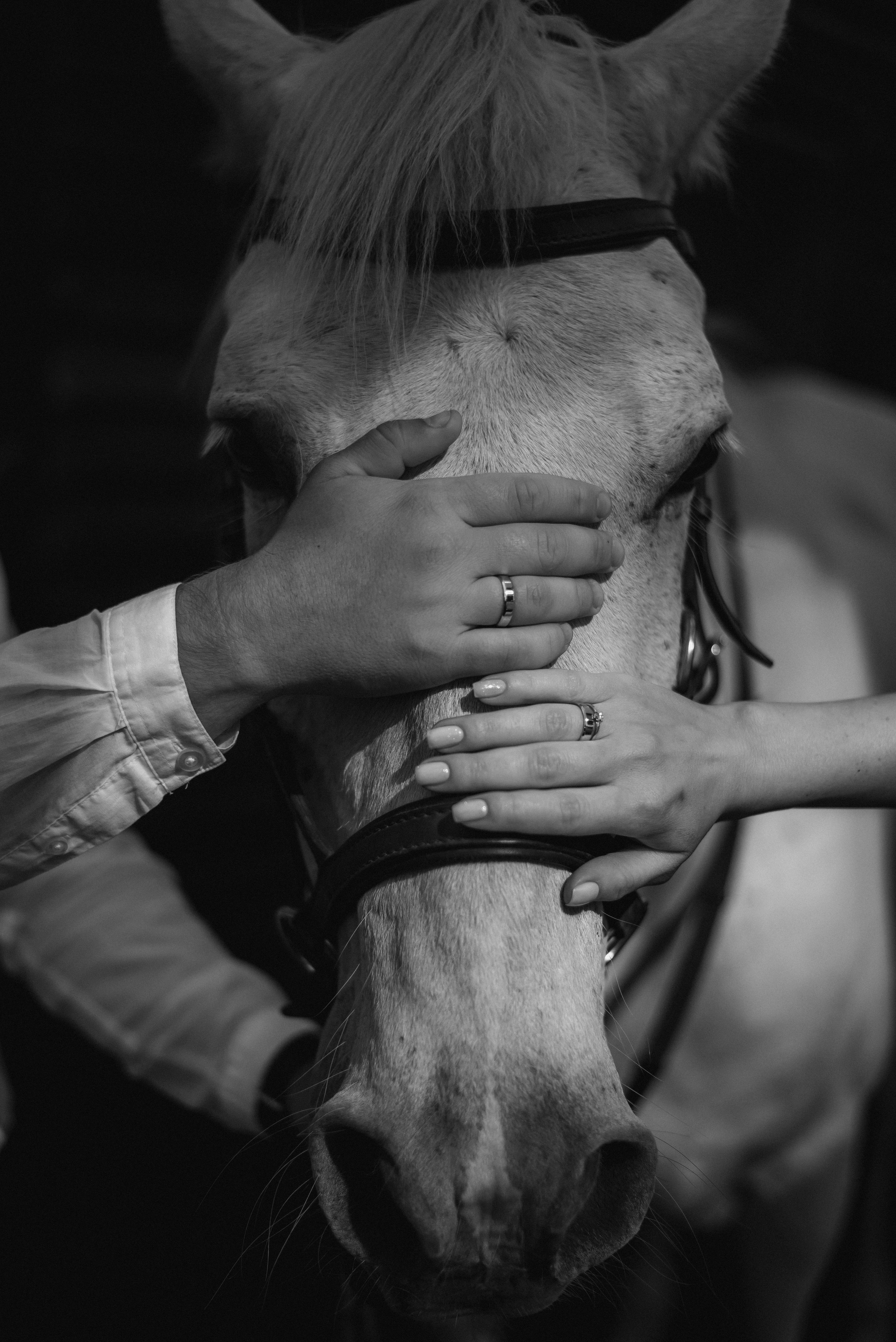 Свадебная фотосессия на ранчо, свадебный фотограф Александра Киев. Весільний та фотограф Київ Україна Олександра, свадебный Киев Украина