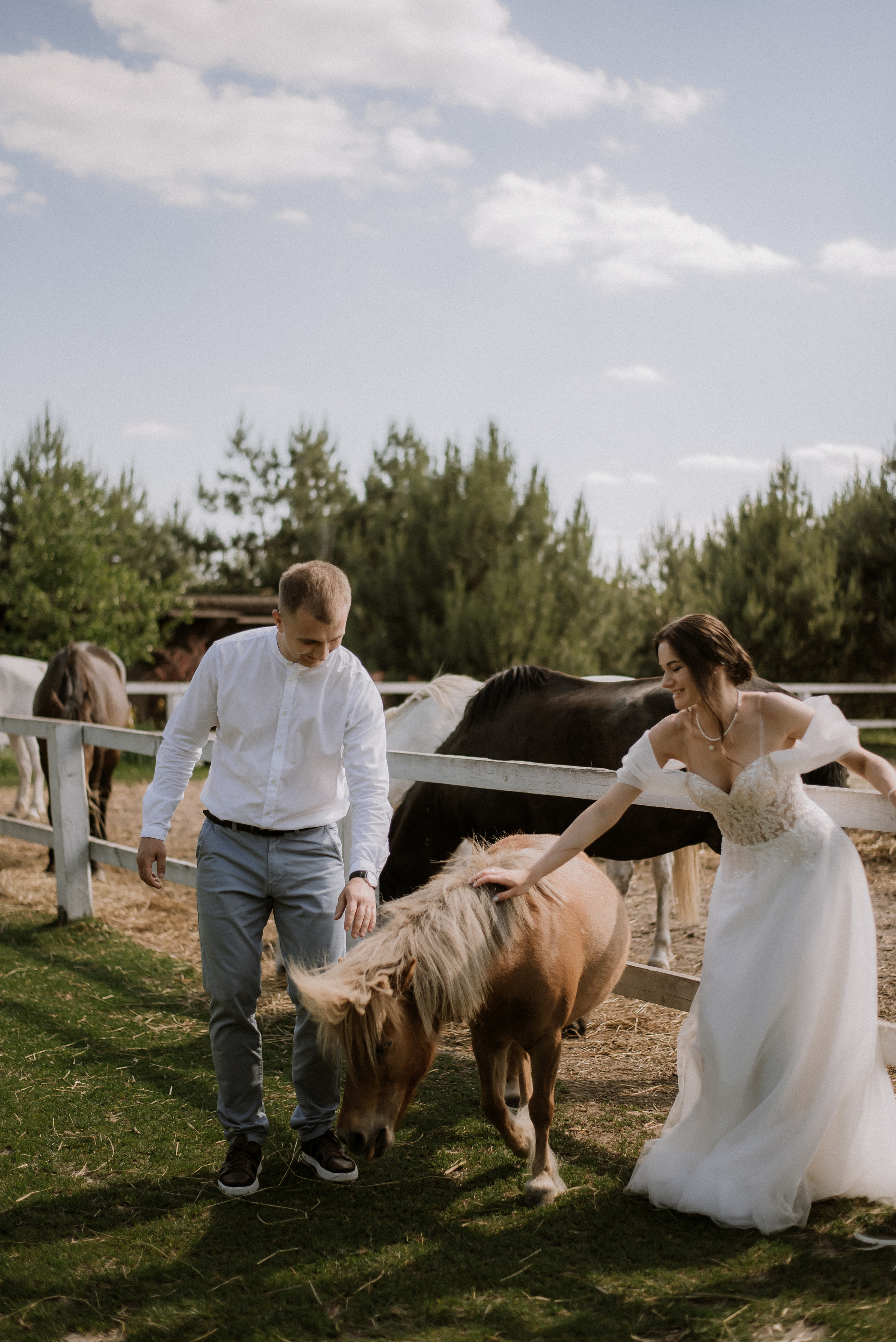 Свадебная фотосессия на ранчо, свадебный фотограф Александра Киев. Весільний та фотограф Київ Україна Олександра, свадебный Киев Украина