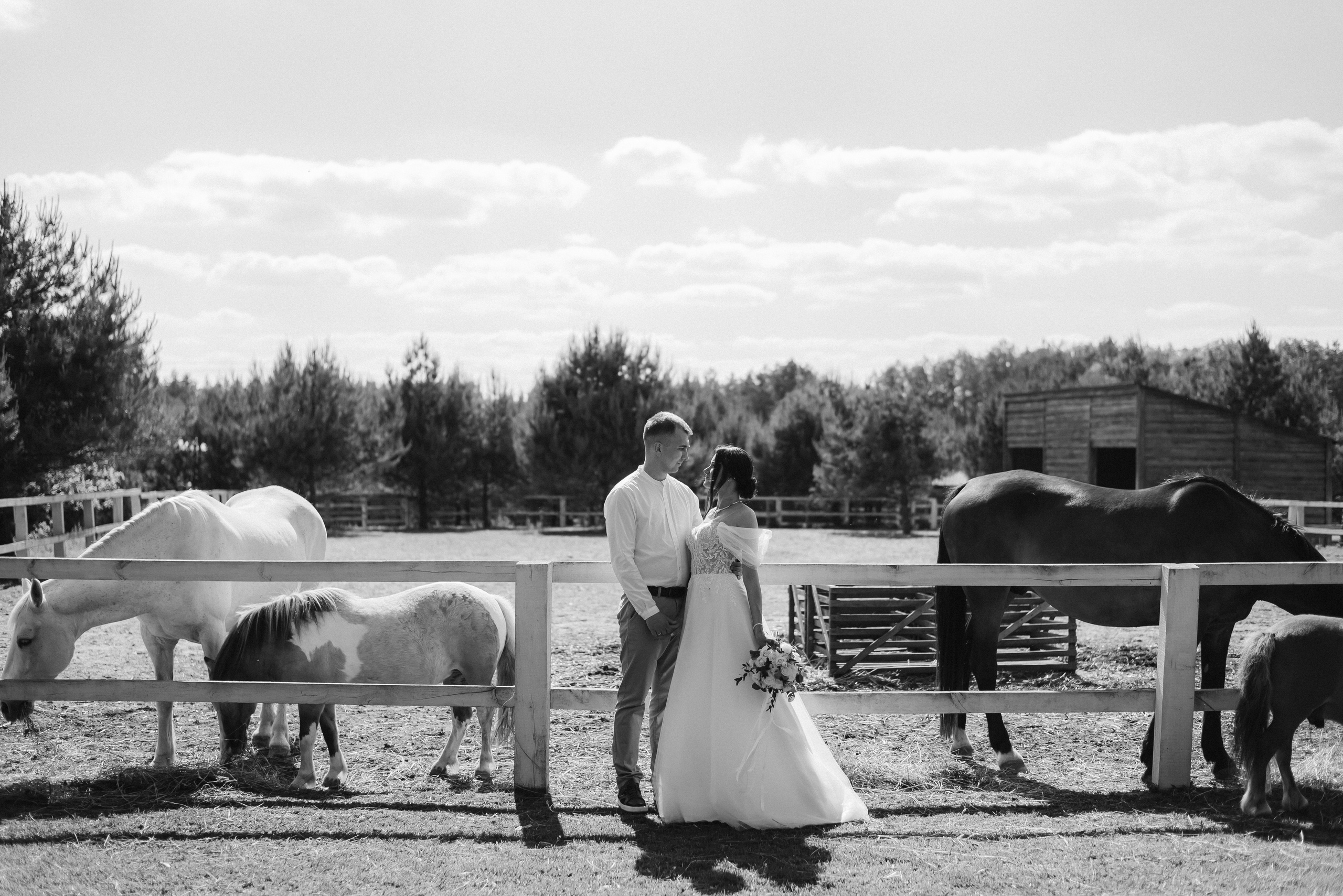 Свадебная фотосессия на ранчо, свадебный фотограф Александра Киев. Весільний та фотограф Київ Україна Олександра, свадебный Киев Украина