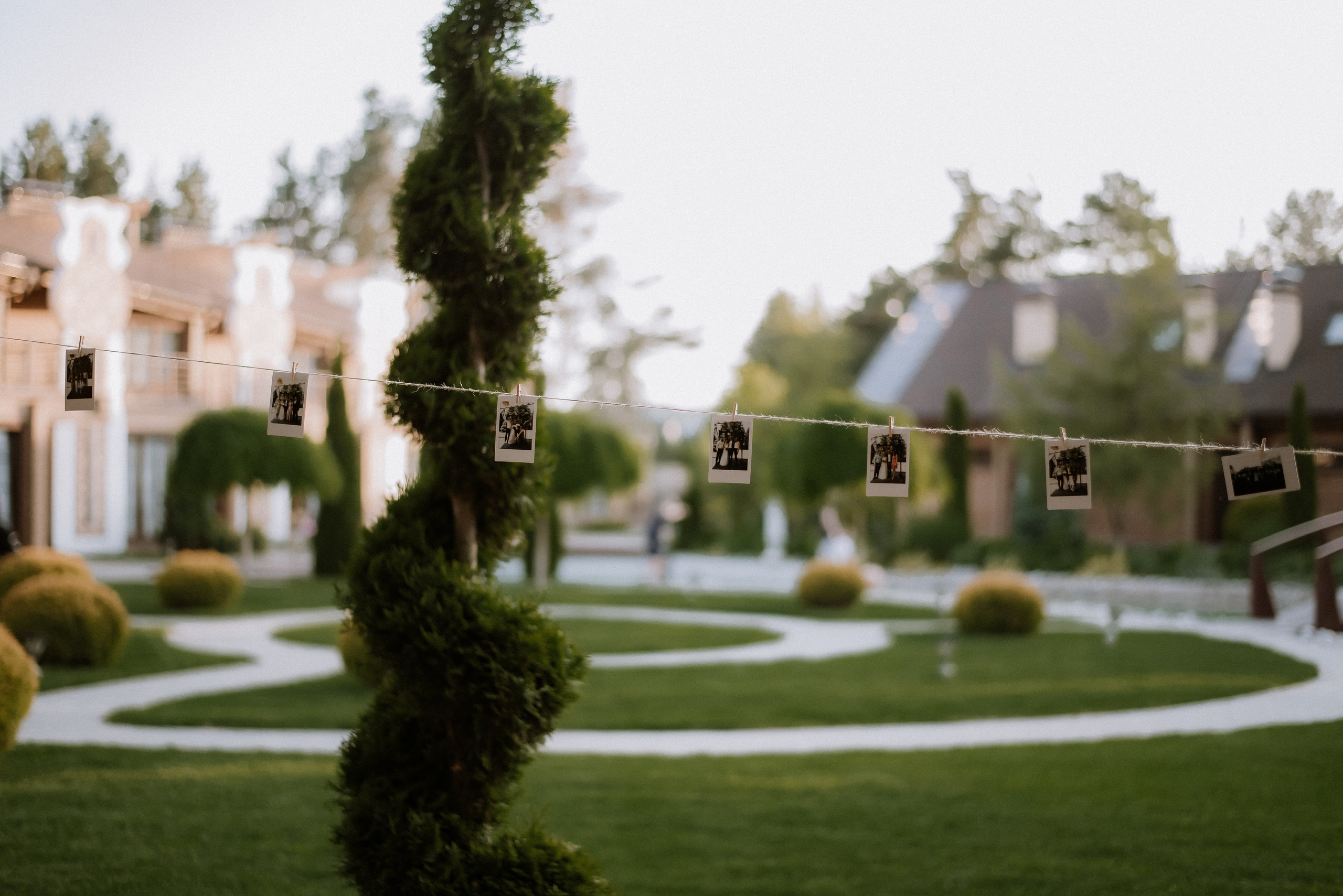 Весілля Київ, весільний фотограф Олександра Олександрова Україна, фото. Весільний та фотограф Київ Україна Олександра, свадебный Киев Украина