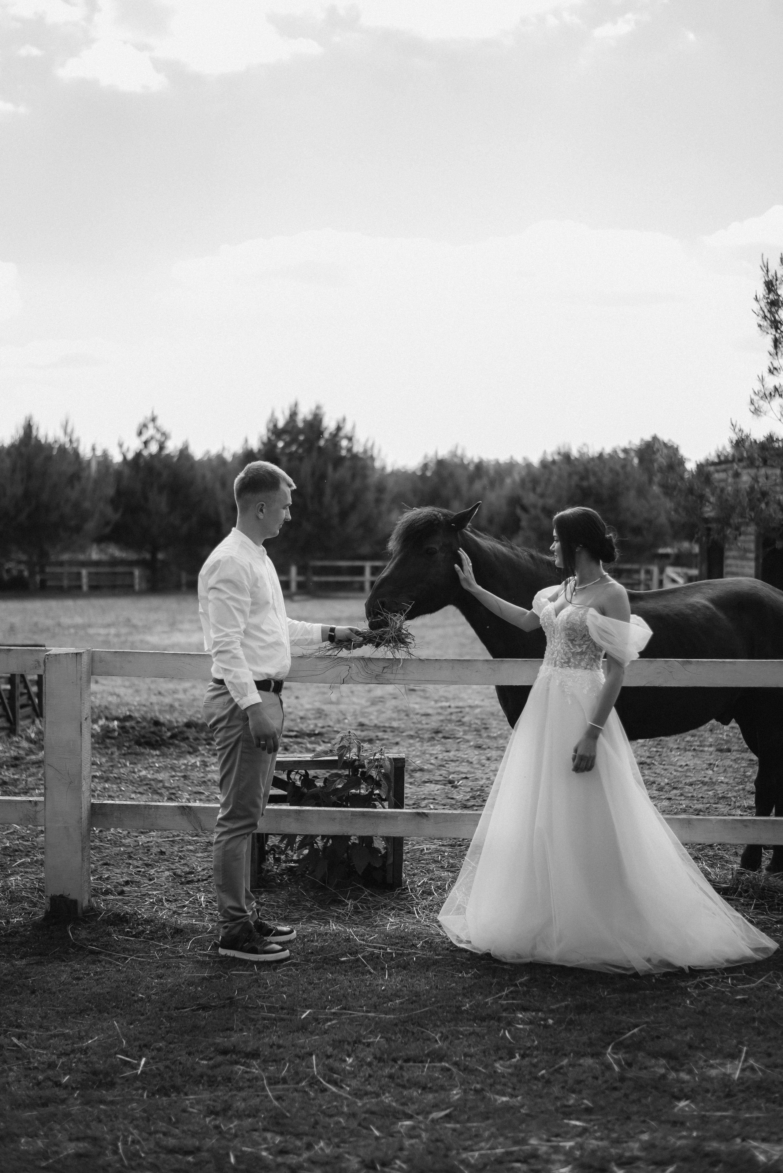 Свадебная фотосессия на ранчо, свадебный фотограф Александра Киев. Весільний та фотограф Київ Україна Олександра, свадебный Киев Украина