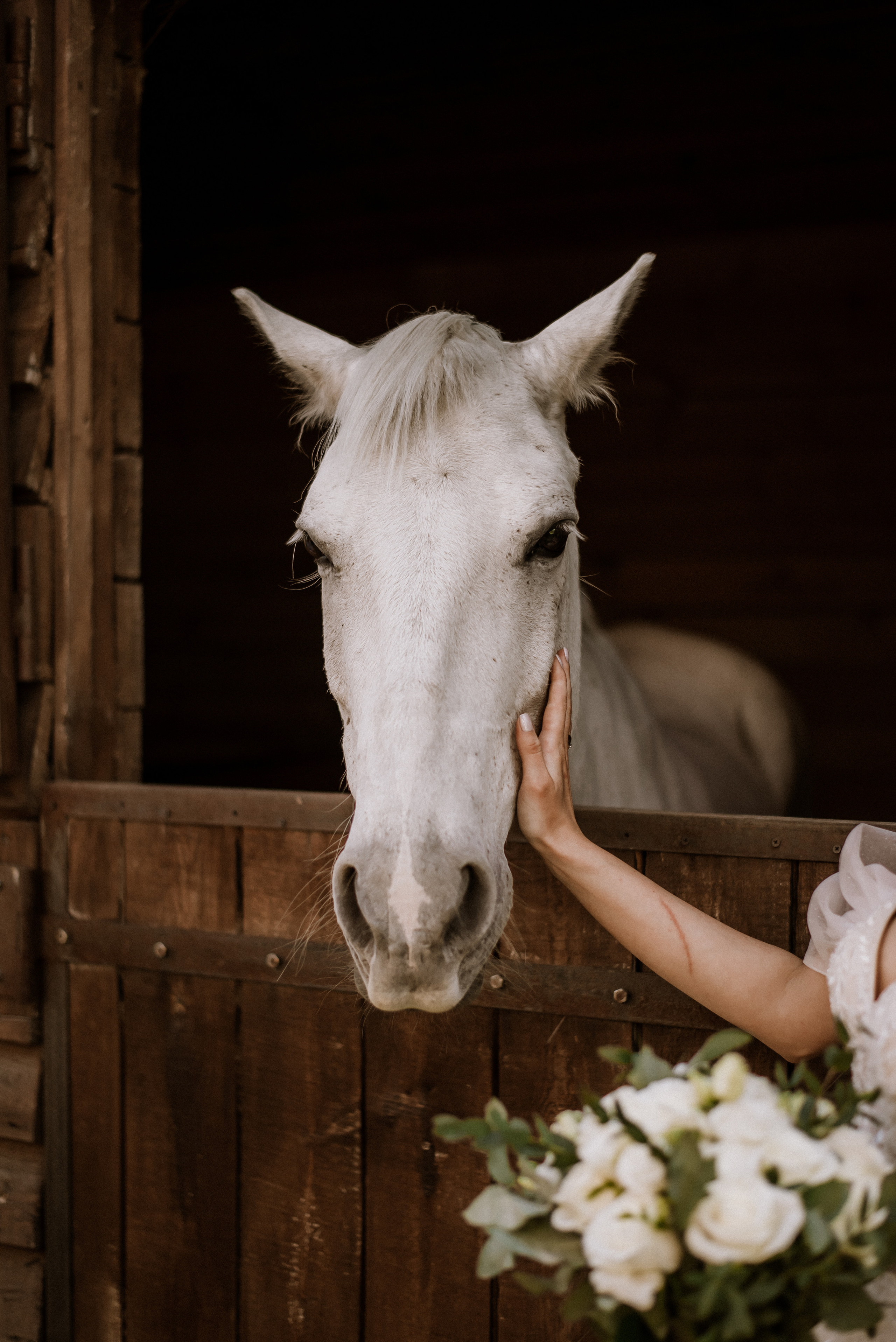 Свадебная фотосессия на ранчо, свадебный фотограф Александра Киев. Весільний та фотограф Київ Україна Олександра, свадебный Киев Украина