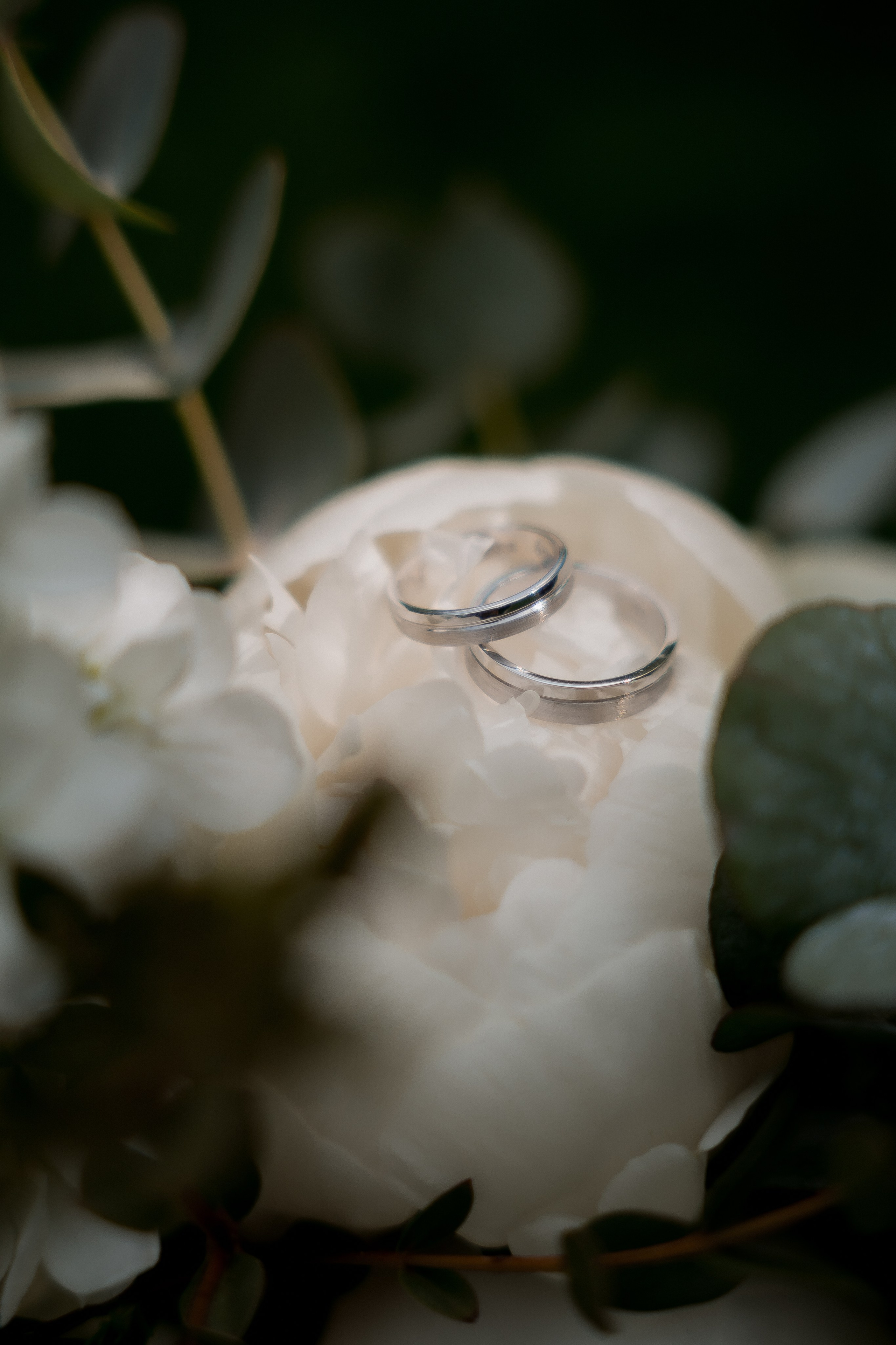 Анна & Олександр. Весільний та фотограф Київ Україна Олександра, свадебный Киев Украина