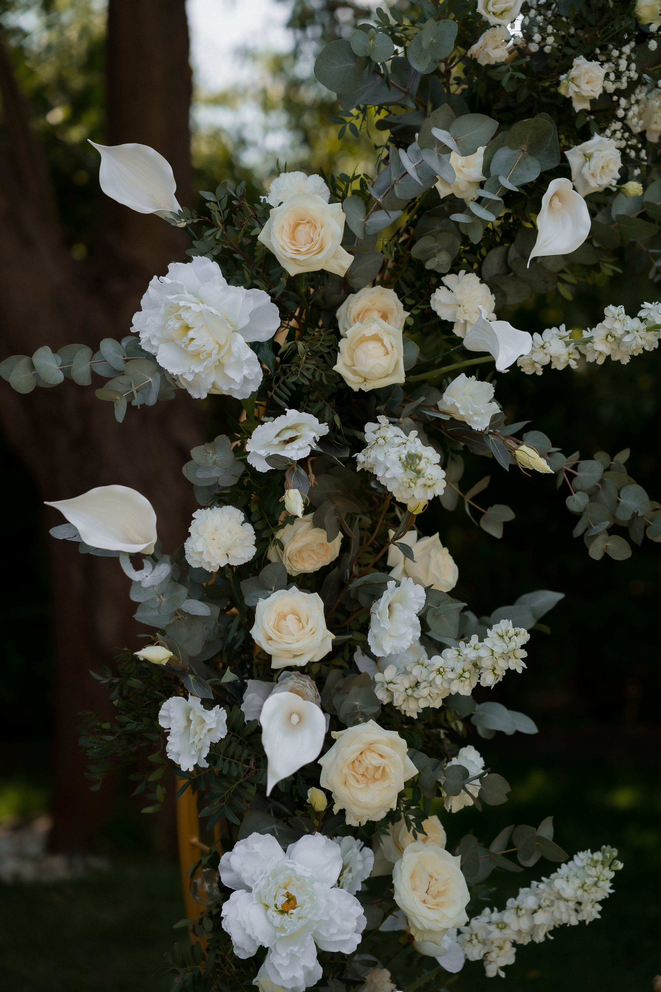 Анна & Олександр. Весільний та фотограф Київ Україна Олександра, свадебный Киев Украина