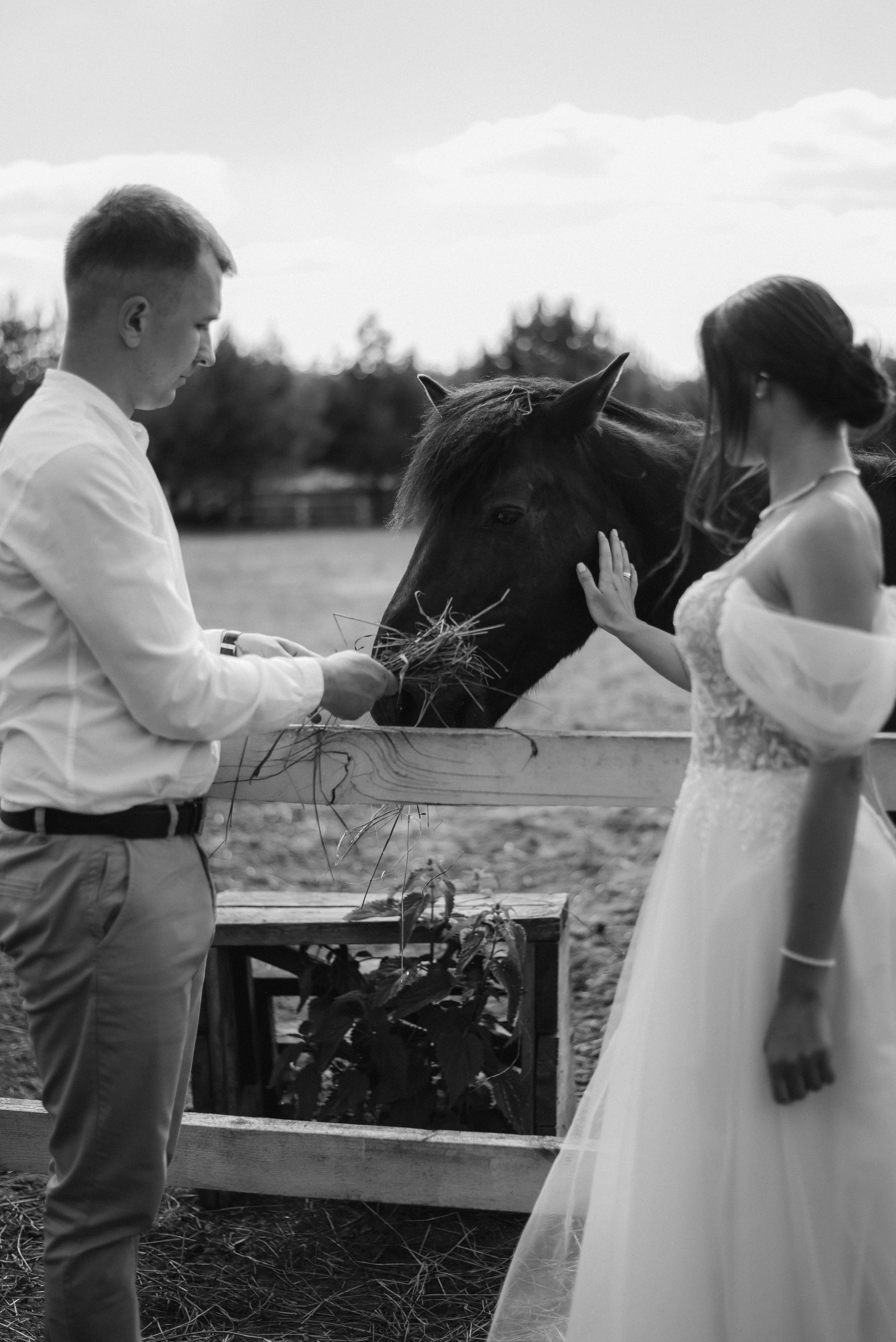 Свадебная фотосессия на ранчо, свадебный фотограф Александра Киев. Весільний та фотограф Київ Україна Олександра, свадебный Киев Украина