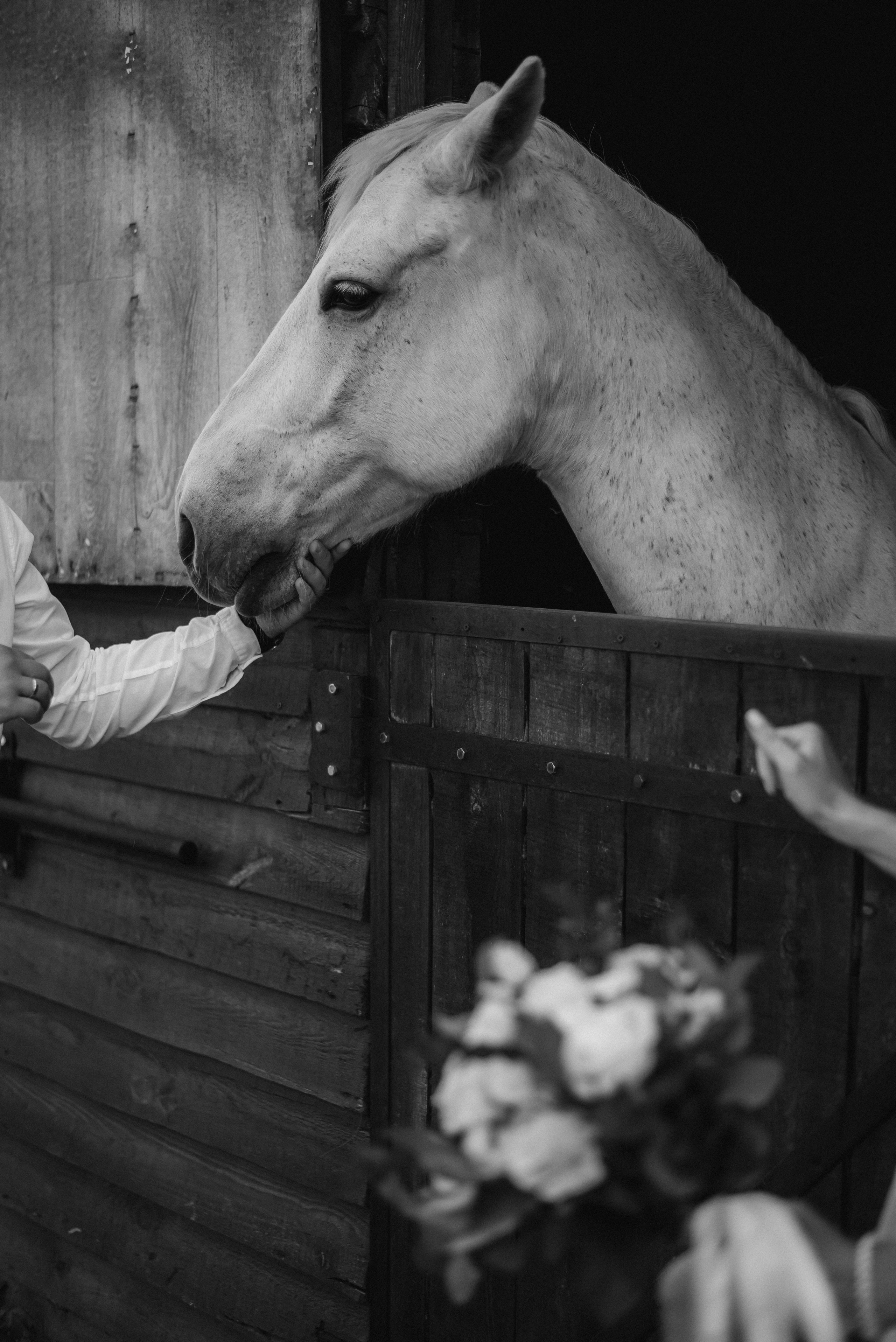 Свадебная фотосессия на ранчо, свадебный фотограф Александра Киев. Весільний та фотограф Київ Україна Олександра, свадебный Киев Украина