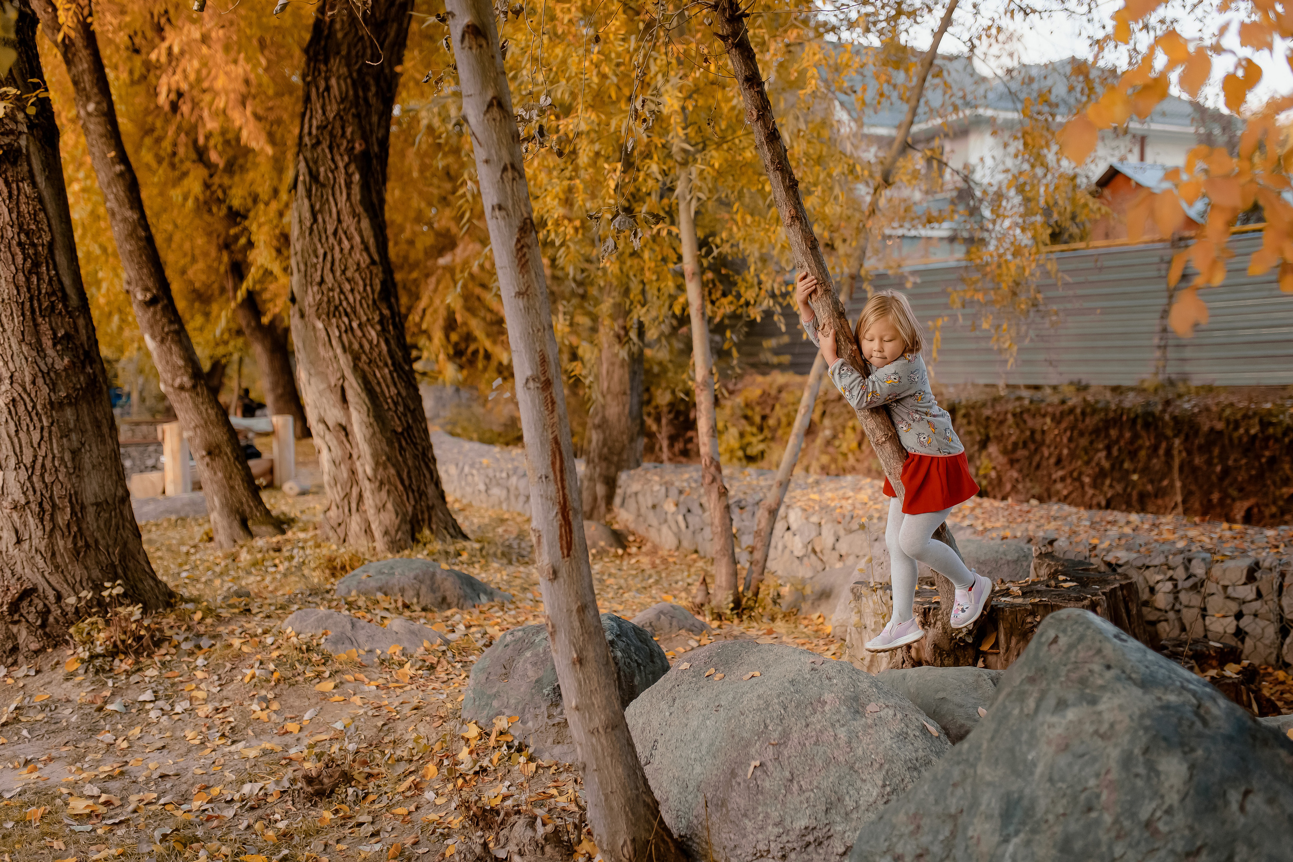 детская фотосессия Ташкент, детский фотограф Ташкент, осенняя фотосессия Ташкент