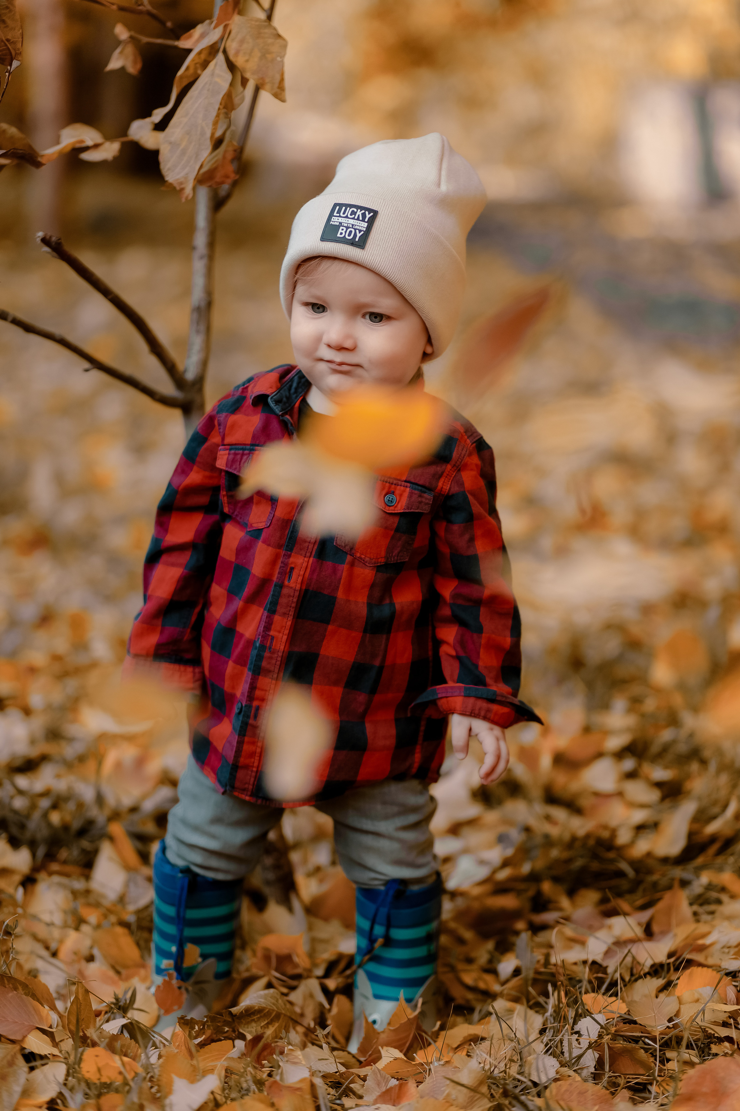 В листьях. Фотограф в Ташкенте Надежда Исаева