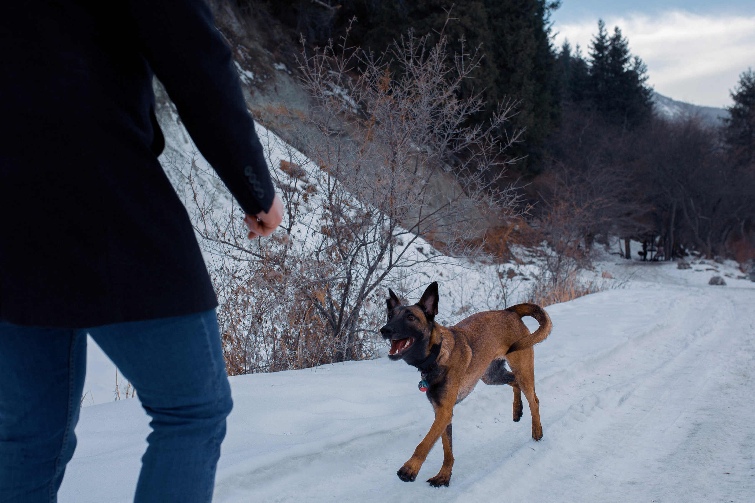 Егор, Милана и Рэя. Фотограф в Ташкенте Надежда Исаева