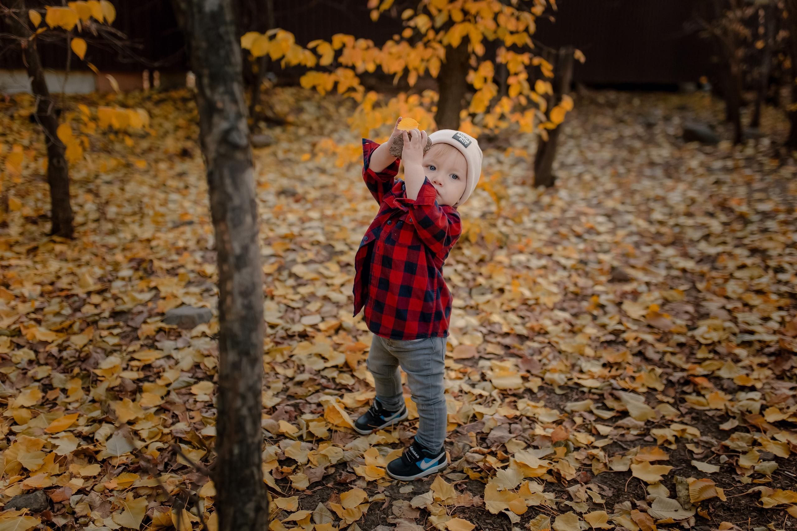 В листьях. Фотограф в Ташкенте Надежда Исаева