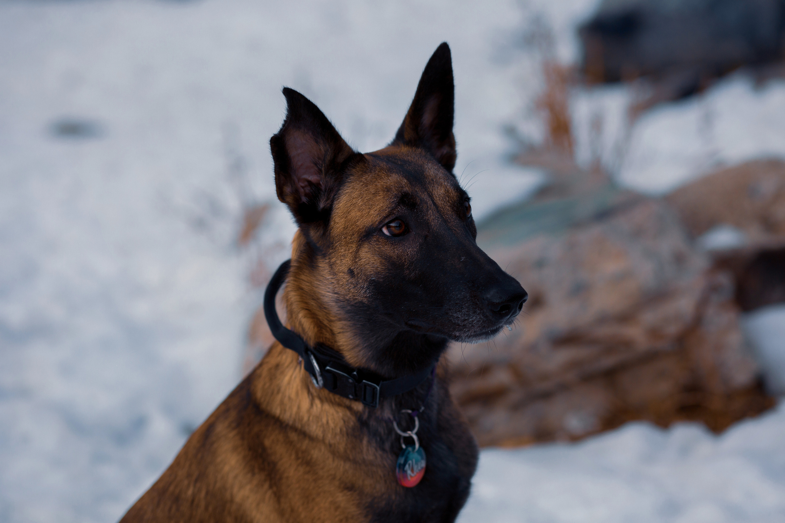 Егор, Милана и Рэя. Фотограф в Ташкенте Надежда Исаева