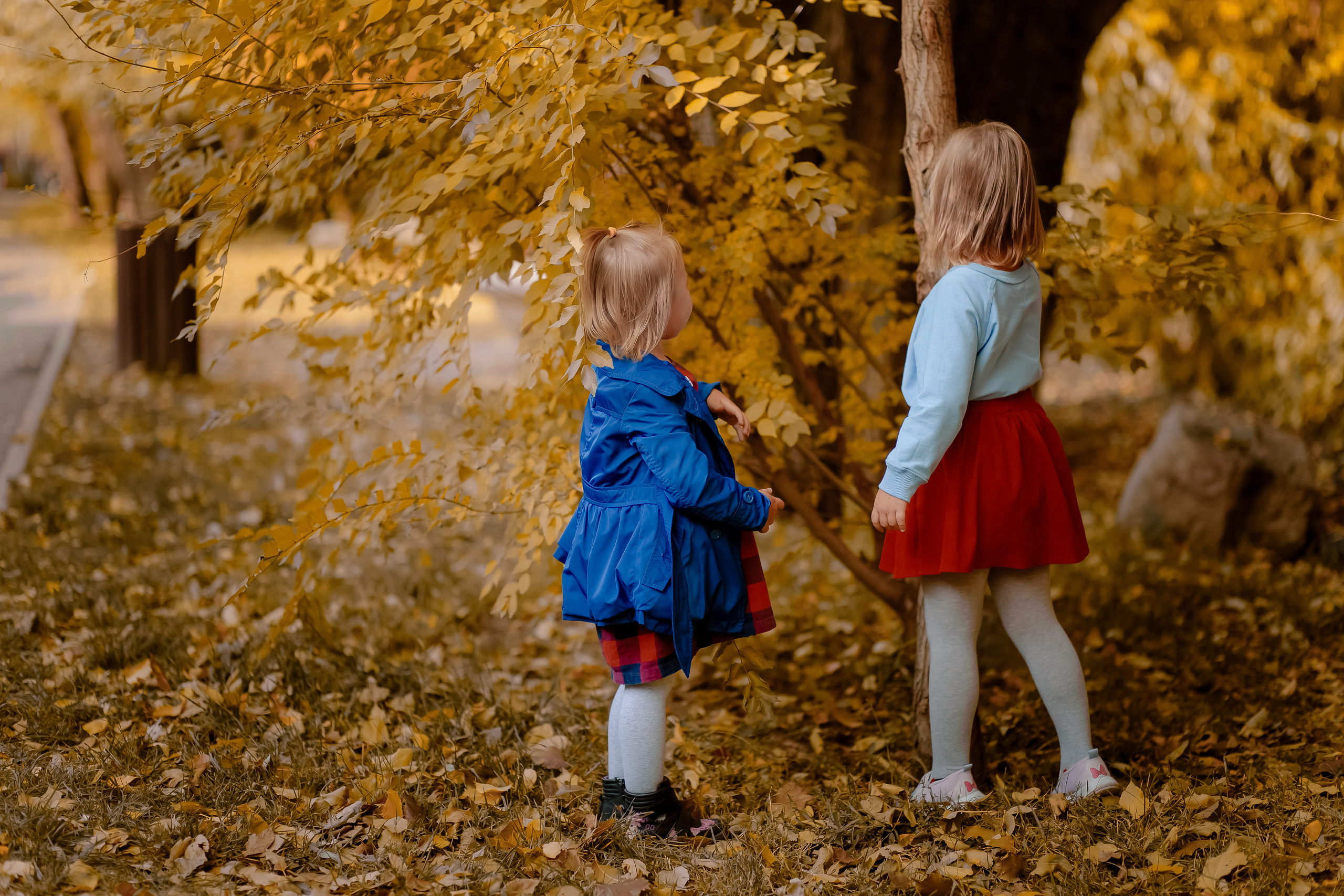 Девочки. Фотограф в Ташкенте Надежда Исаева