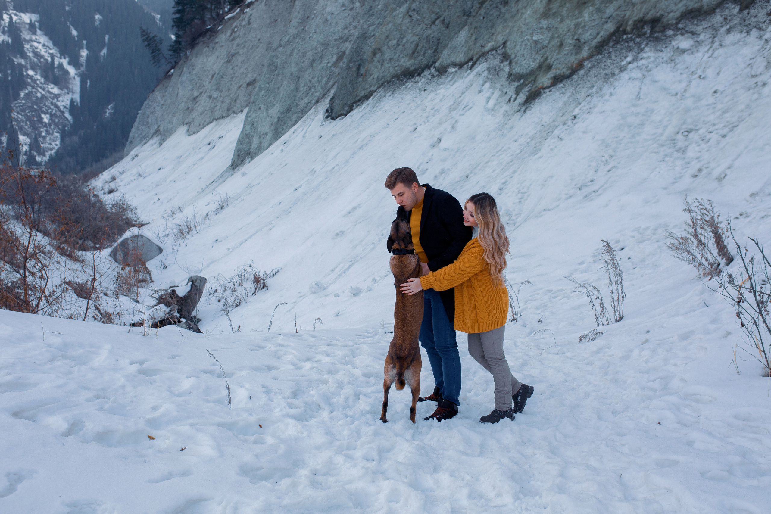 зима в Ташкенте