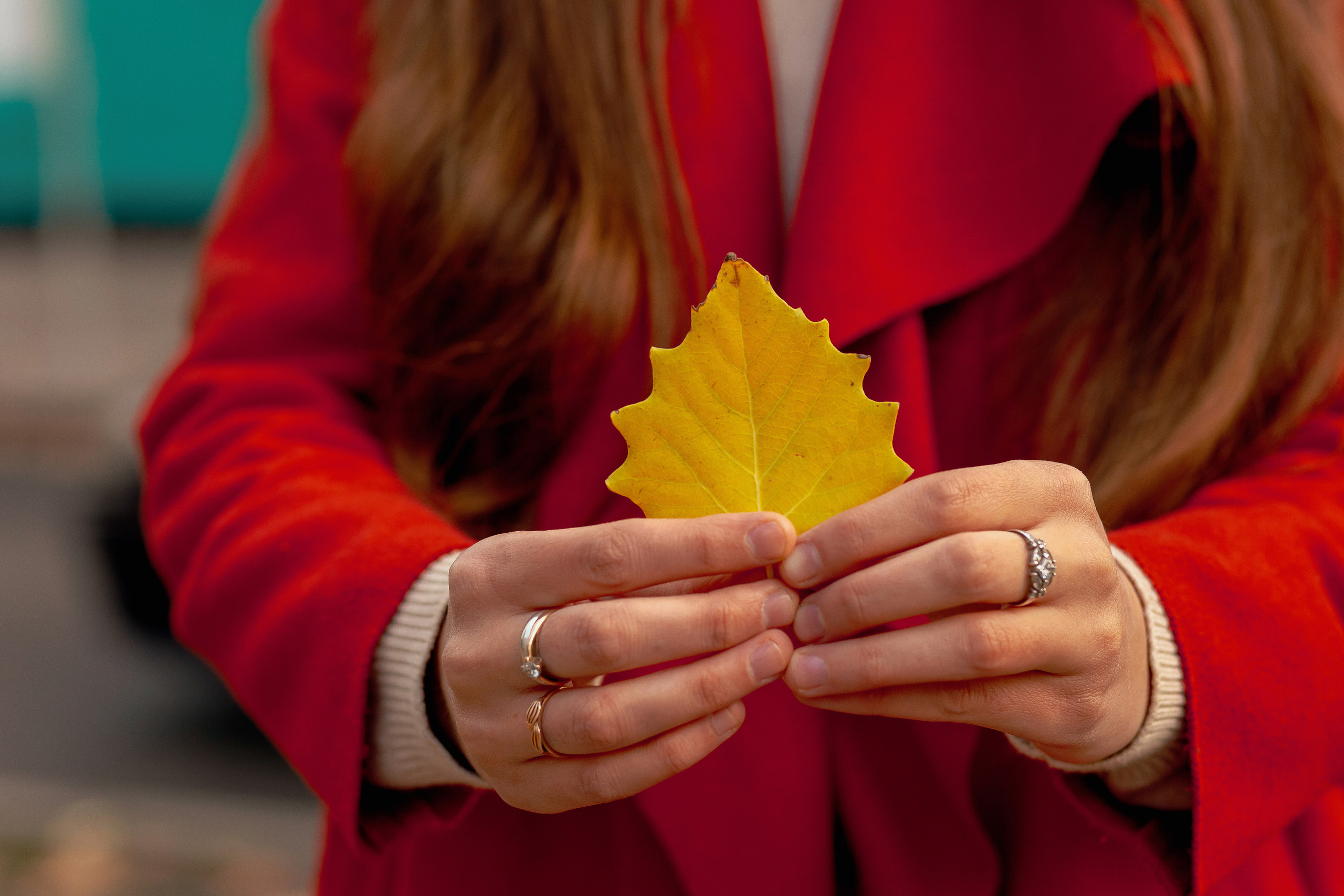 Осень в цвету. Фотограф в Ташкенте Надежда Исаева