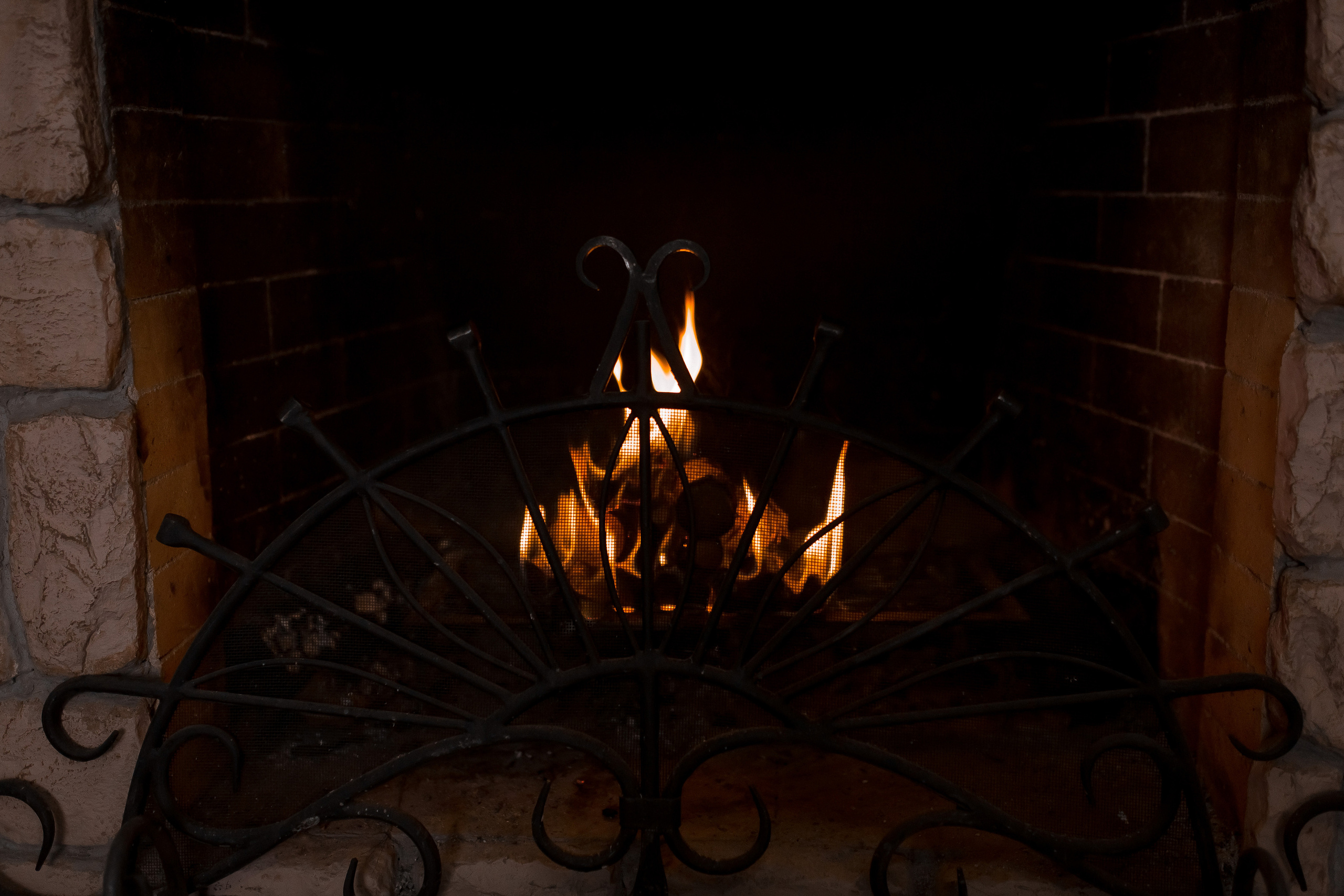 Теплая встреча. Фотограф в Ташкенте Надежда Исаева