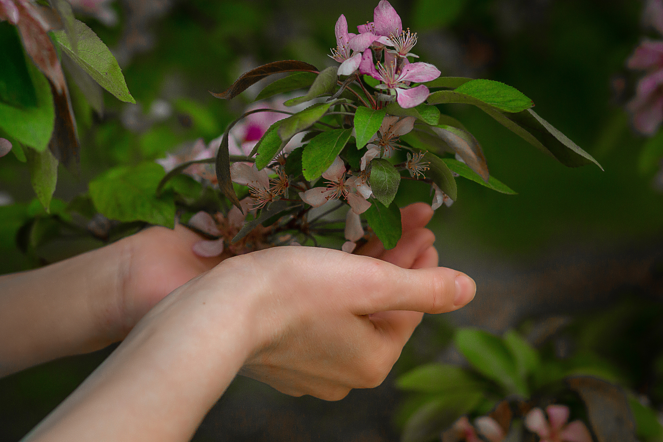 Портрет в цветущем городе. Фотограф в Ташкенте Надежда Исаева