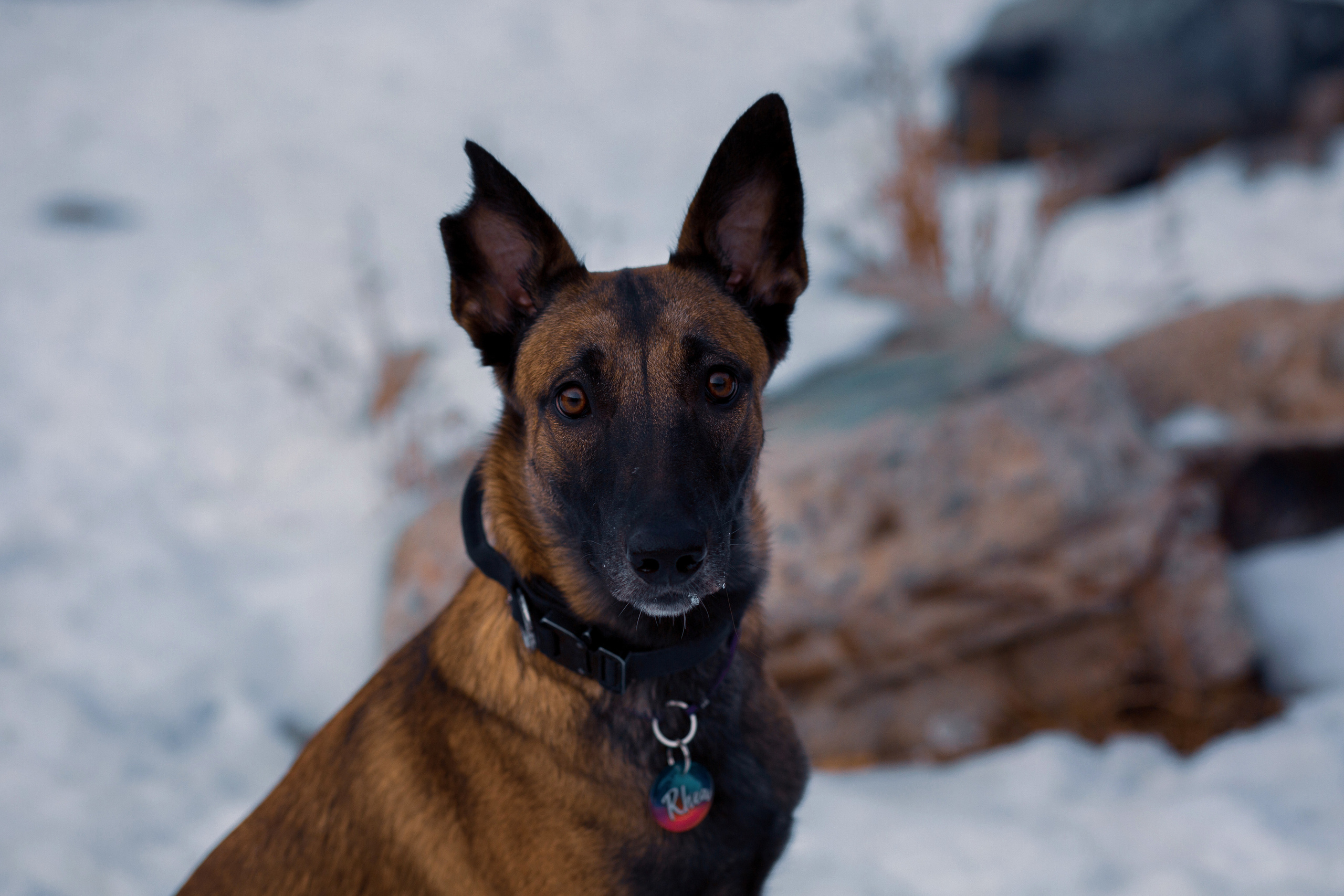 Егор, Милана и Рэя. Фотограф в Ташкенте Надежда Исаева