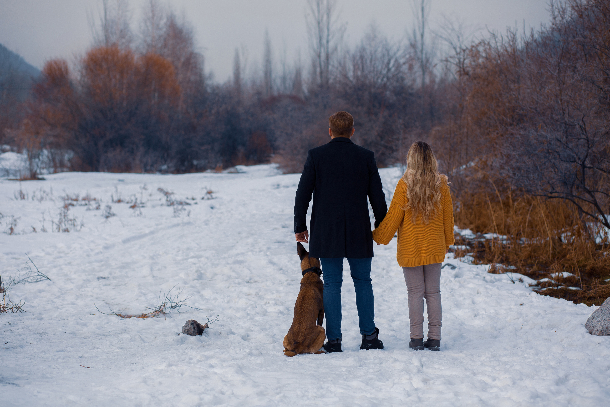 фотосессия в собакой в Ташкенте