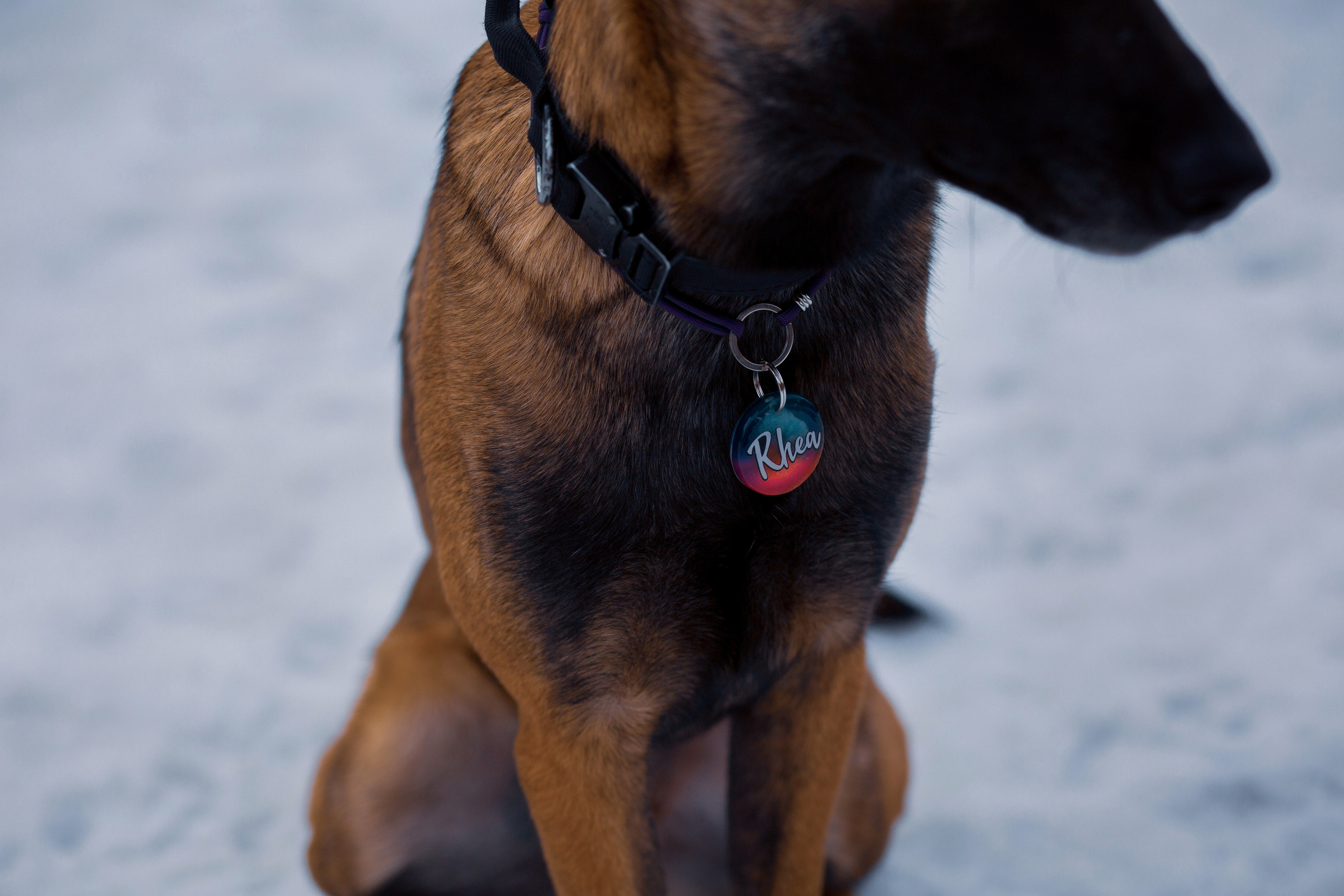 Егор, Милана и Рэя. Фотограф в Ташкенте Надежда Исаева