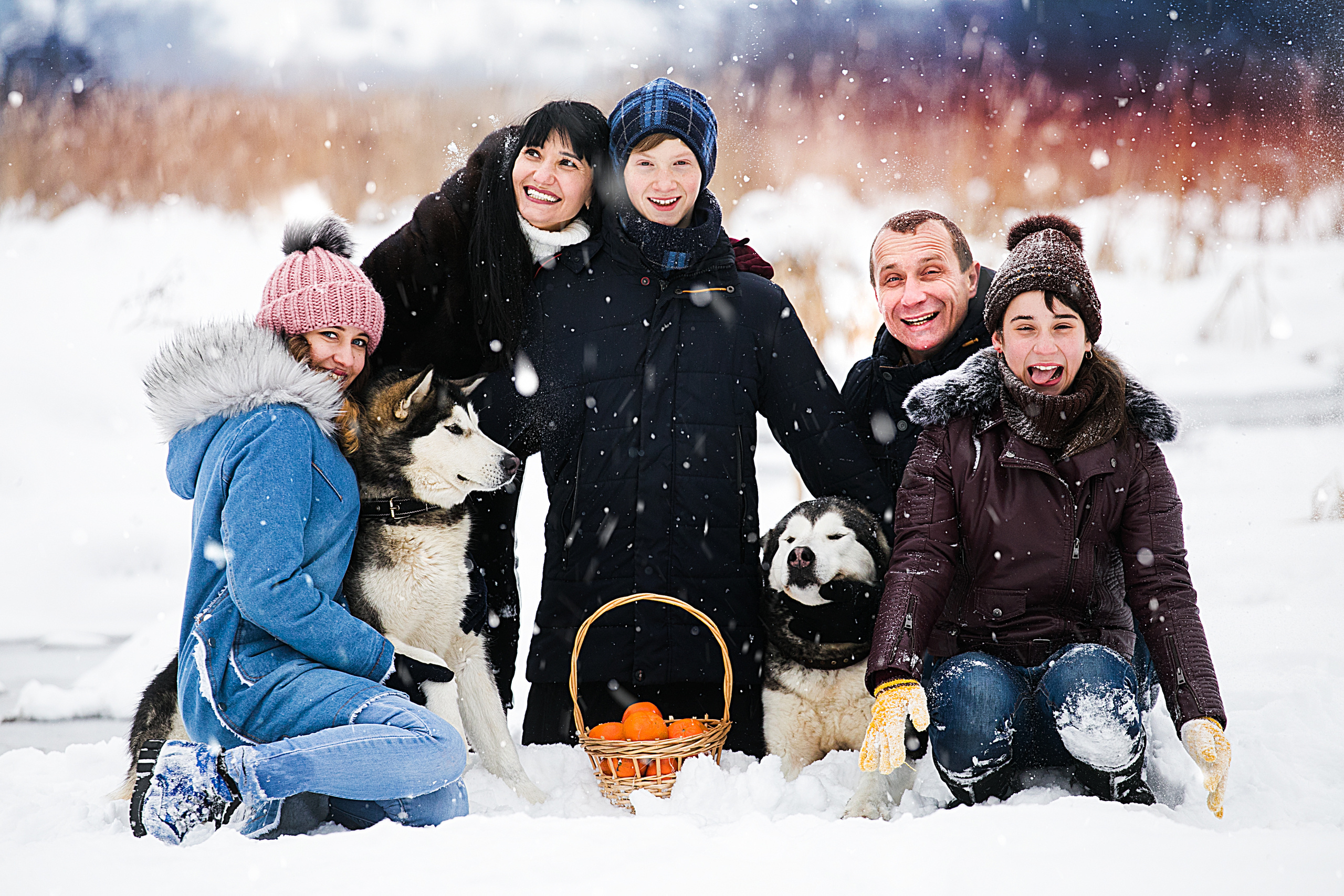 Семейная. Фотограф JOSTIK PHOTO Каменское