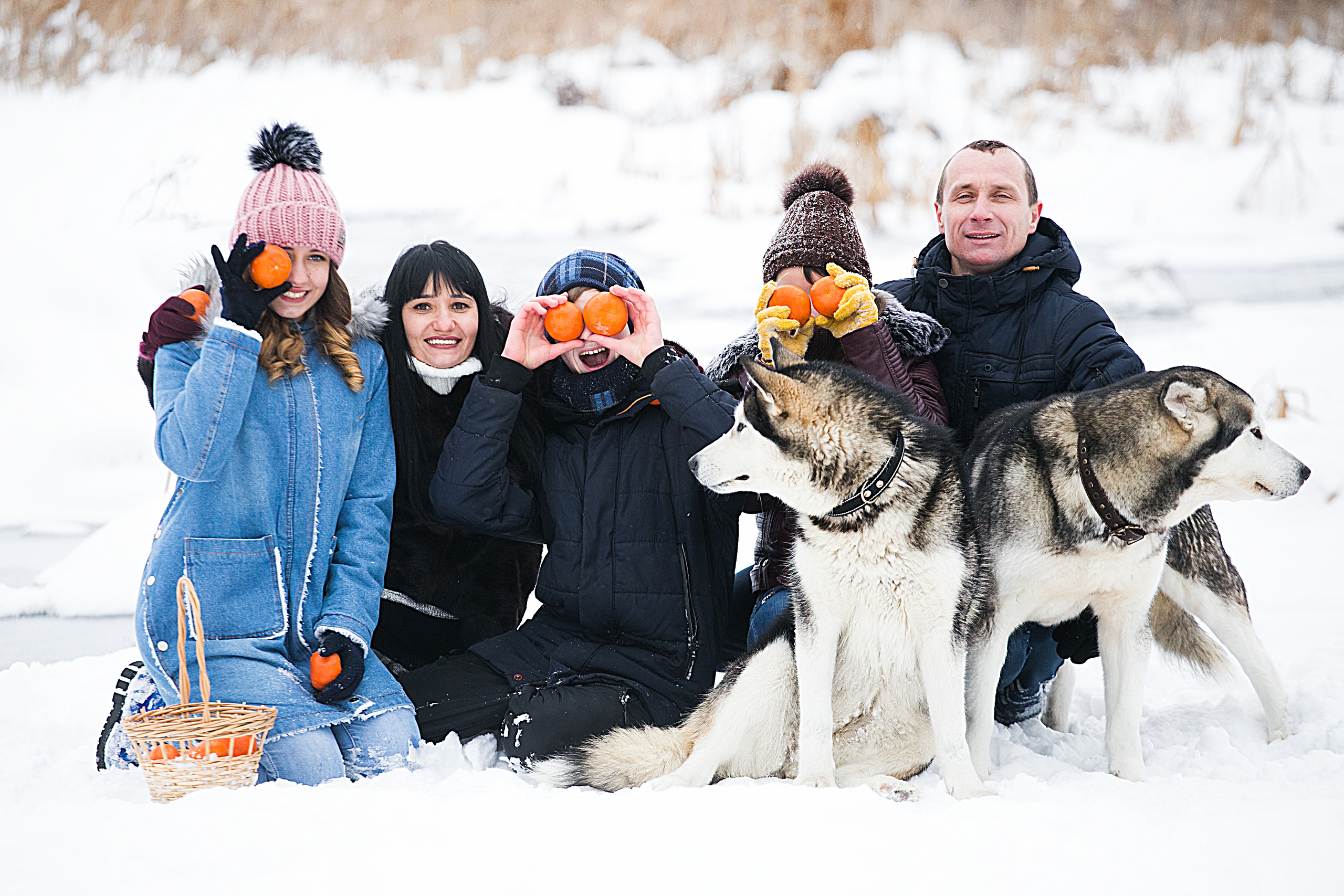 Семейная. Фотограф JOSTIK PHOTO Каменское