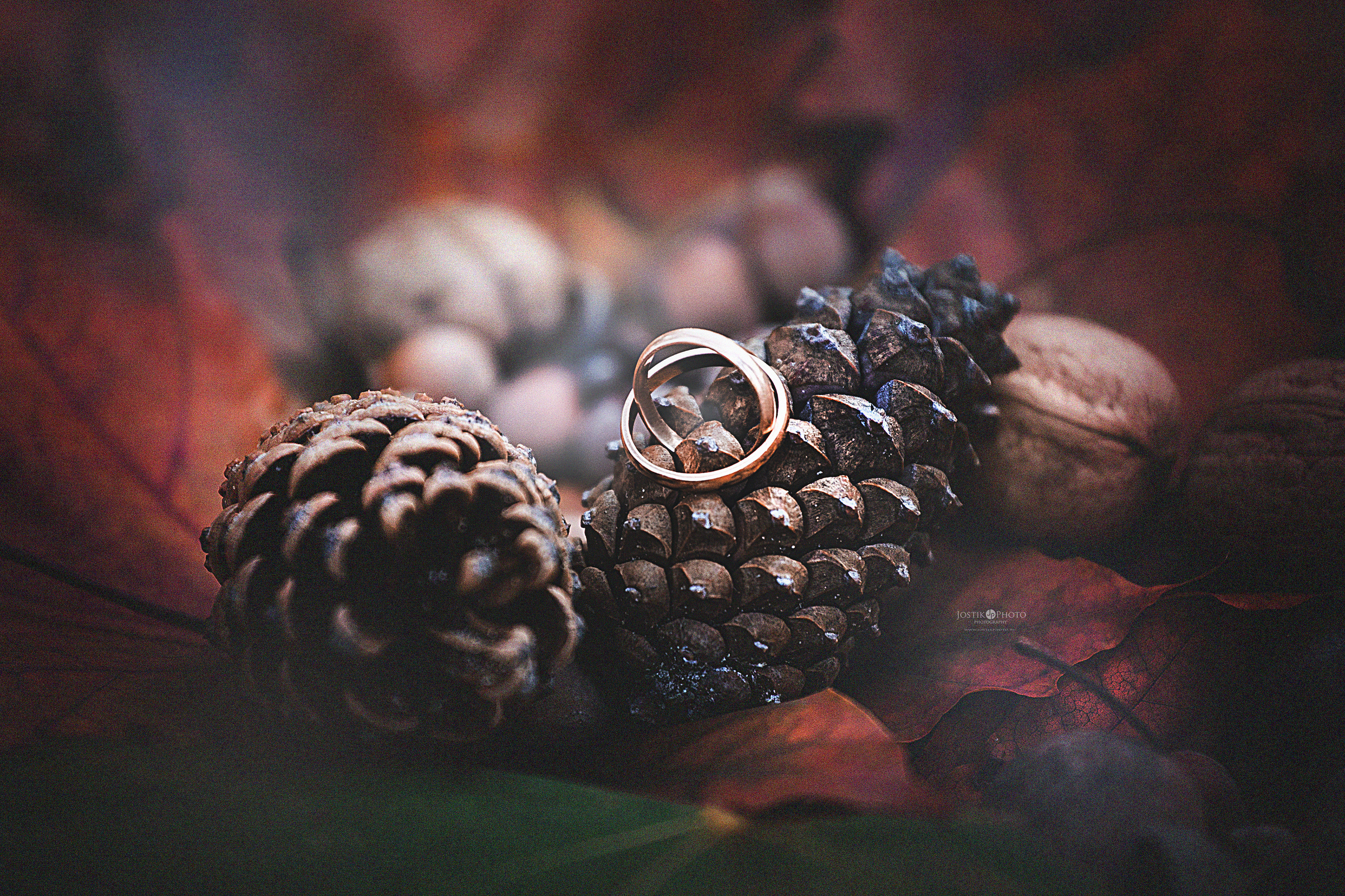 Фотограф JOSTIK PHOTO Каменское