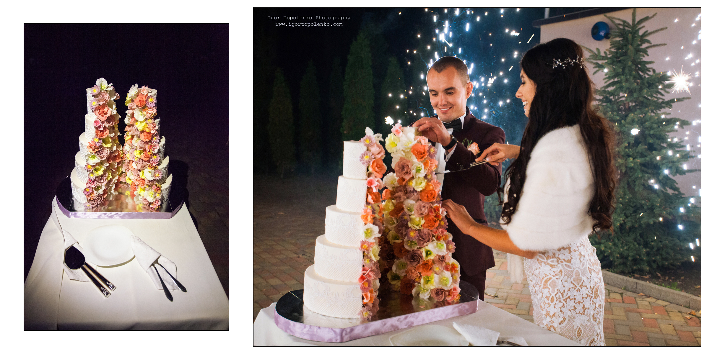 Свадьба Яны и Александра. Фотограф Ігор Тополенко Арт- фото та весільна фотографія Україна Київ