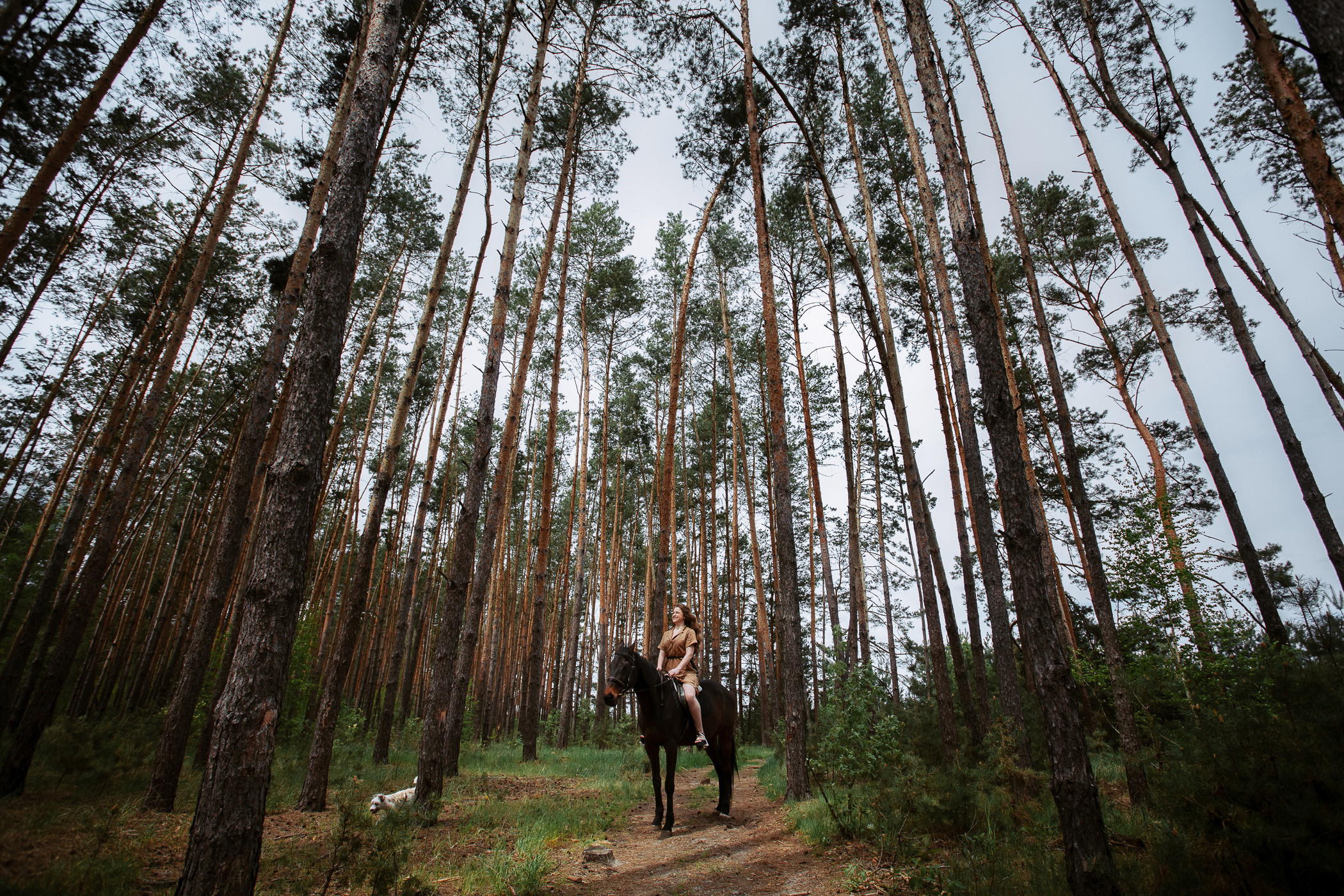 Зйомка закоханих у Житомирі. Фотограф Ігор Тополенко Арт- фото та весільна фотографія Україна Київ