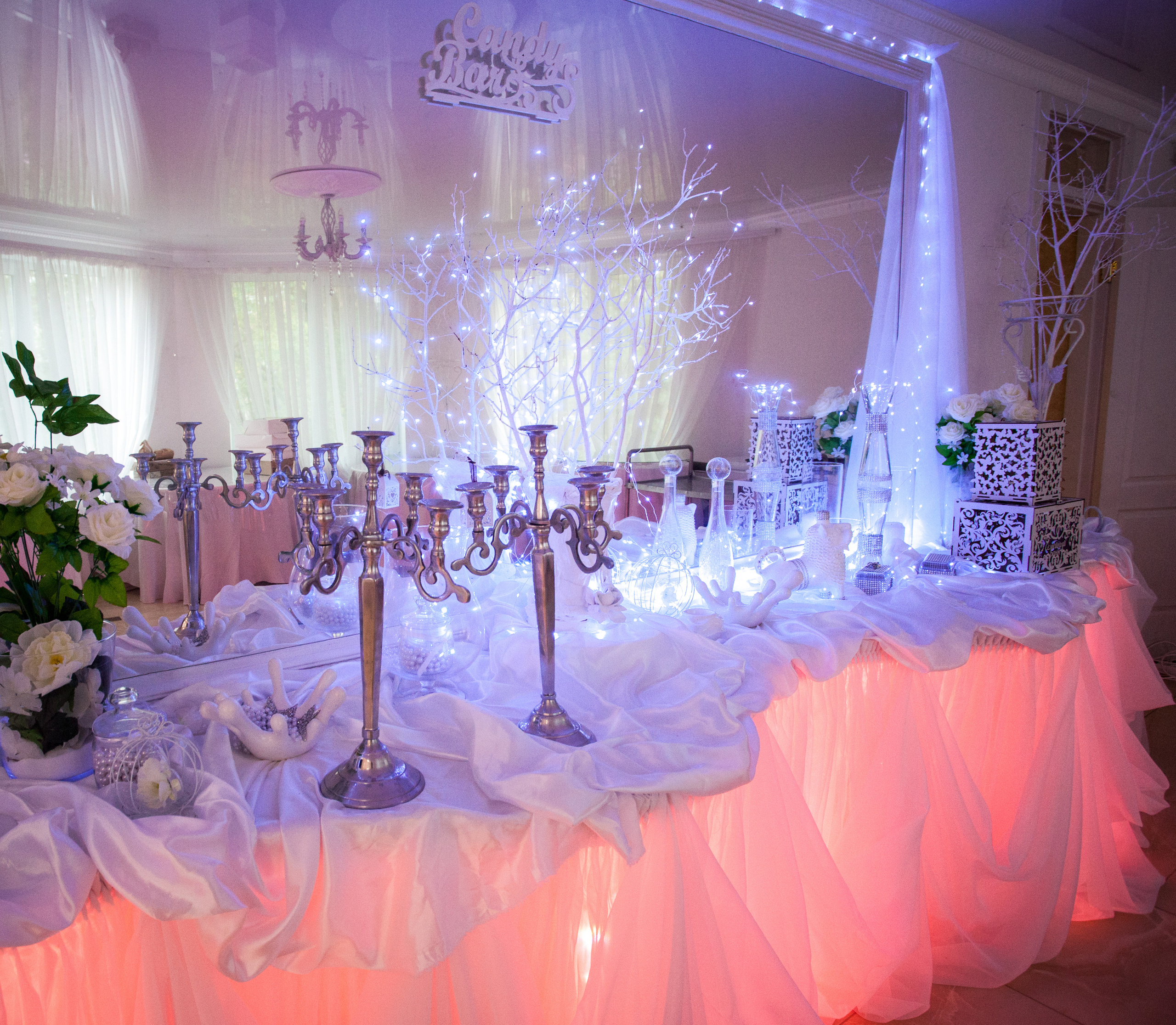 Свадьба Анны и Виктора. Фотограф Ігор Тополенко Арт- фото та весільна фотографія Україна Київ