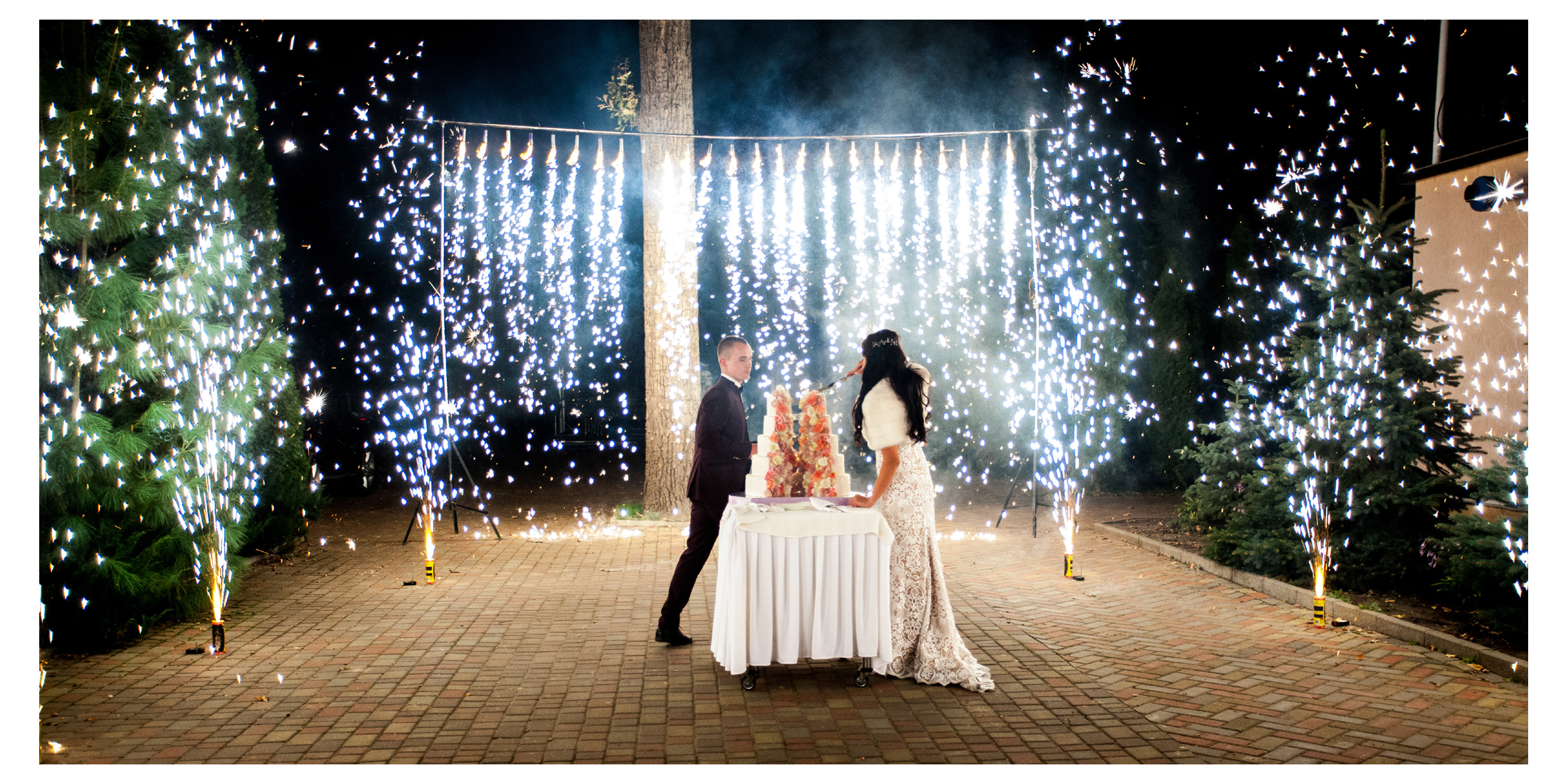 Свадьба Яны и Александра. Фотограф Ігор Тополенко Арт- фото та весільна фотографія Україна Київ