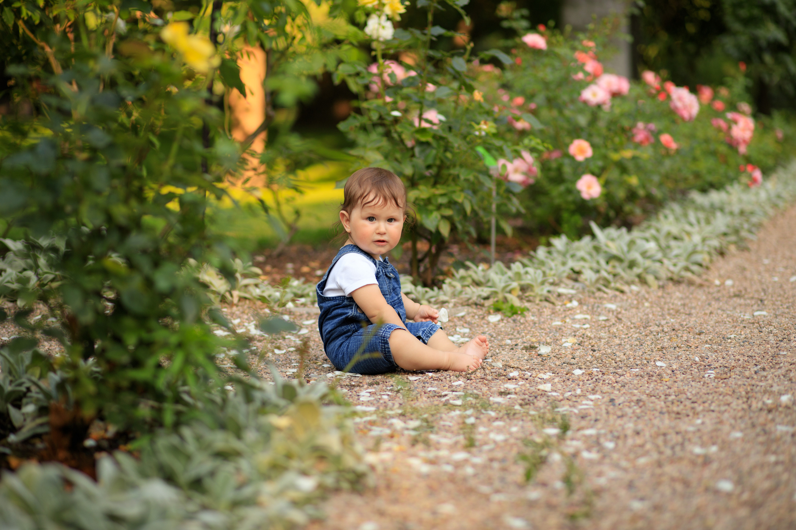 Фотосесія в Ботанічному садочку. Сімейний фотограф Вроцлав - Анна Цуканова