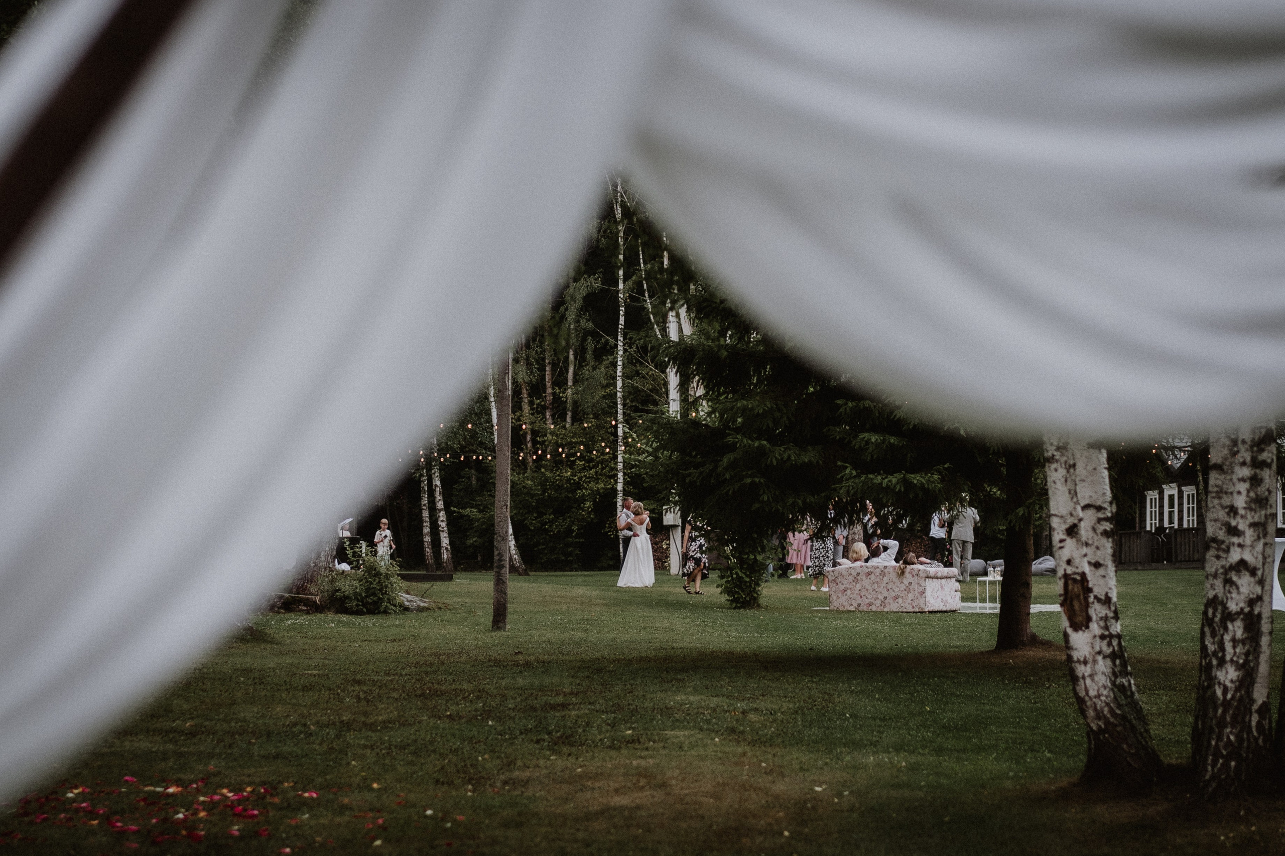 Vilmanas Violeta. Authentic Wedding Videography