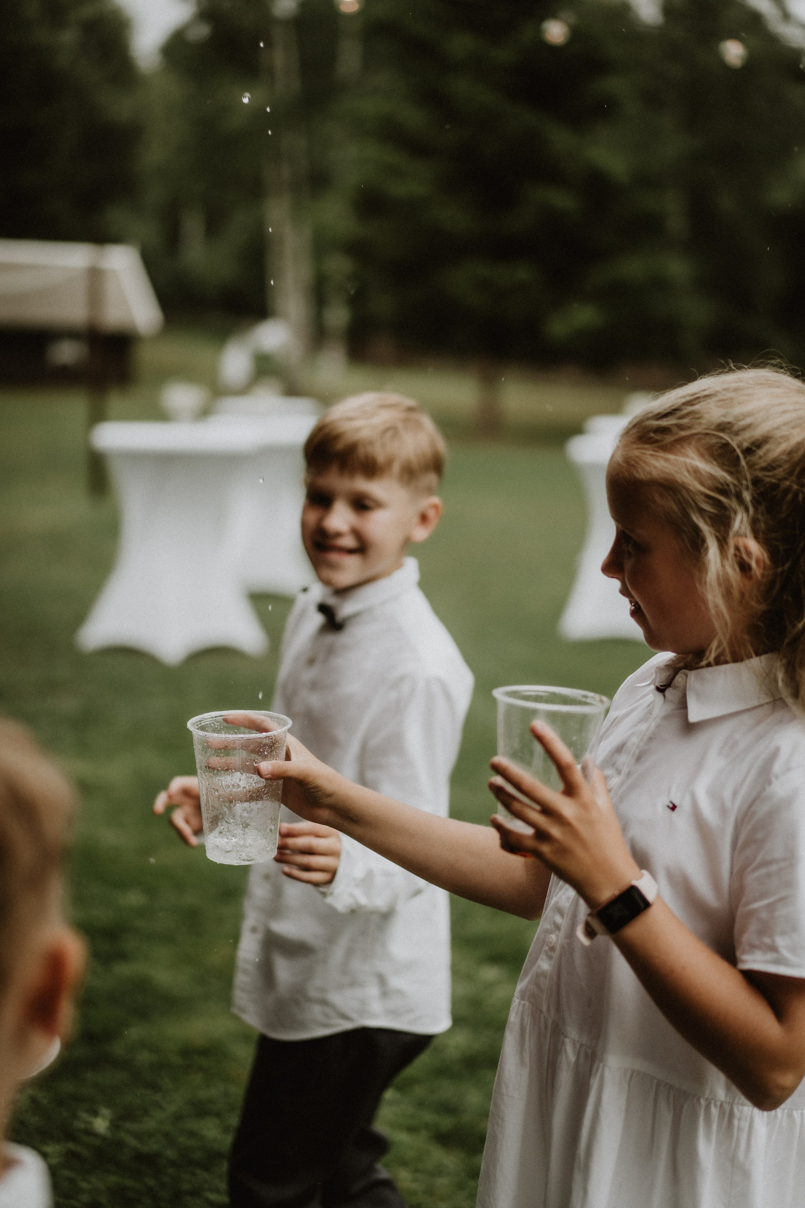 Vilmanas Violeta. Authentic Wedding Videography