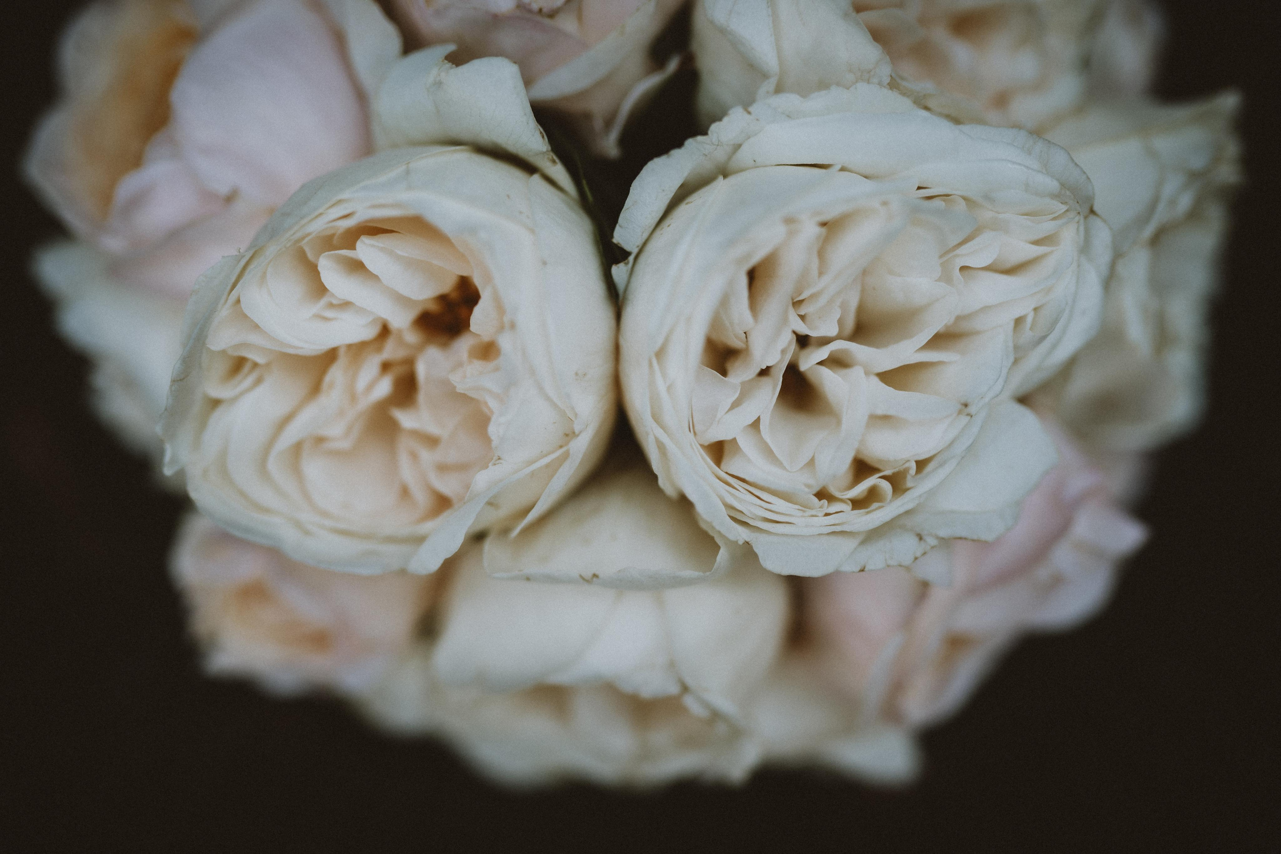 Saule Matas. Authentic Wedding Videography