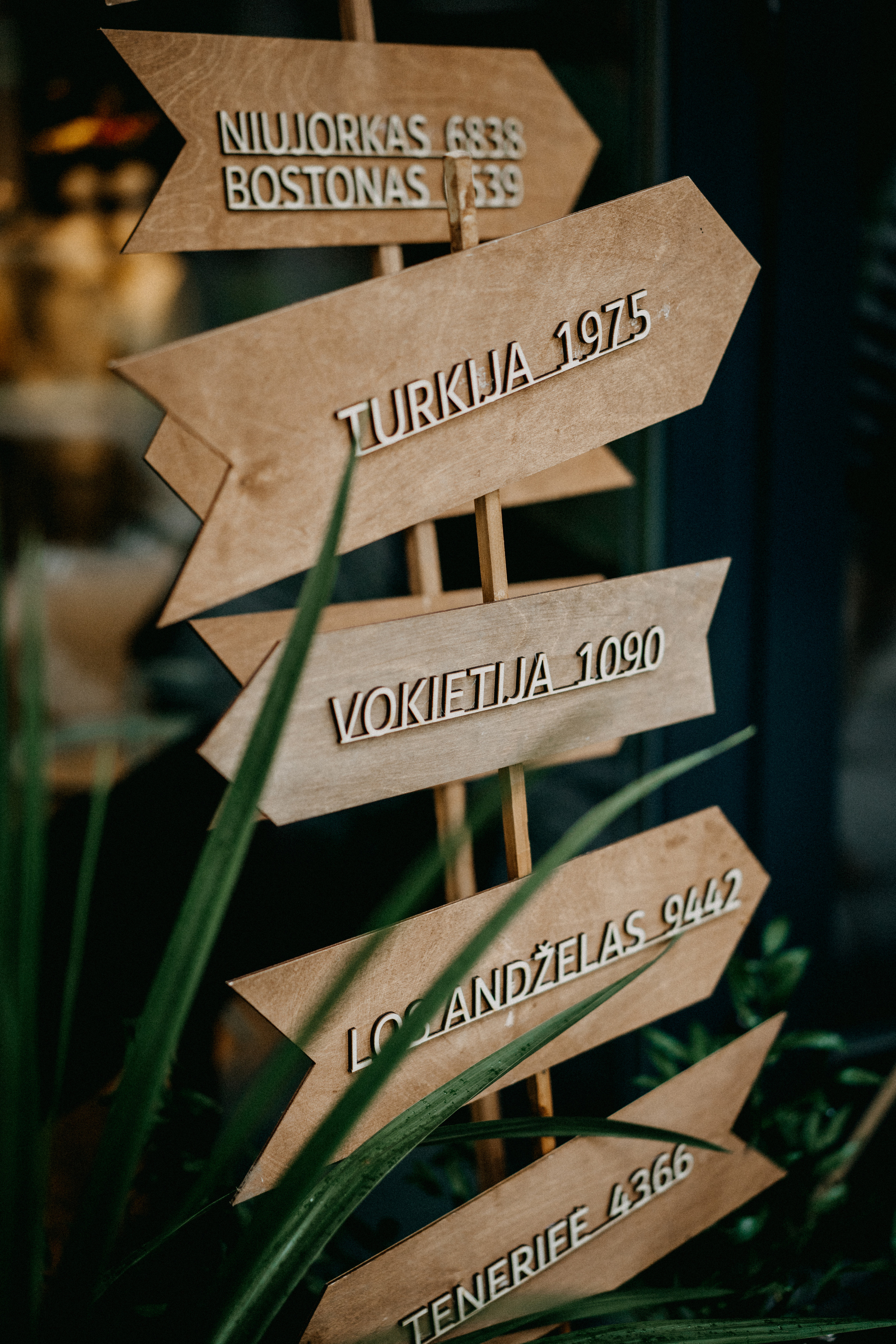 Mantas Ruta. Authentic Wedding Videography