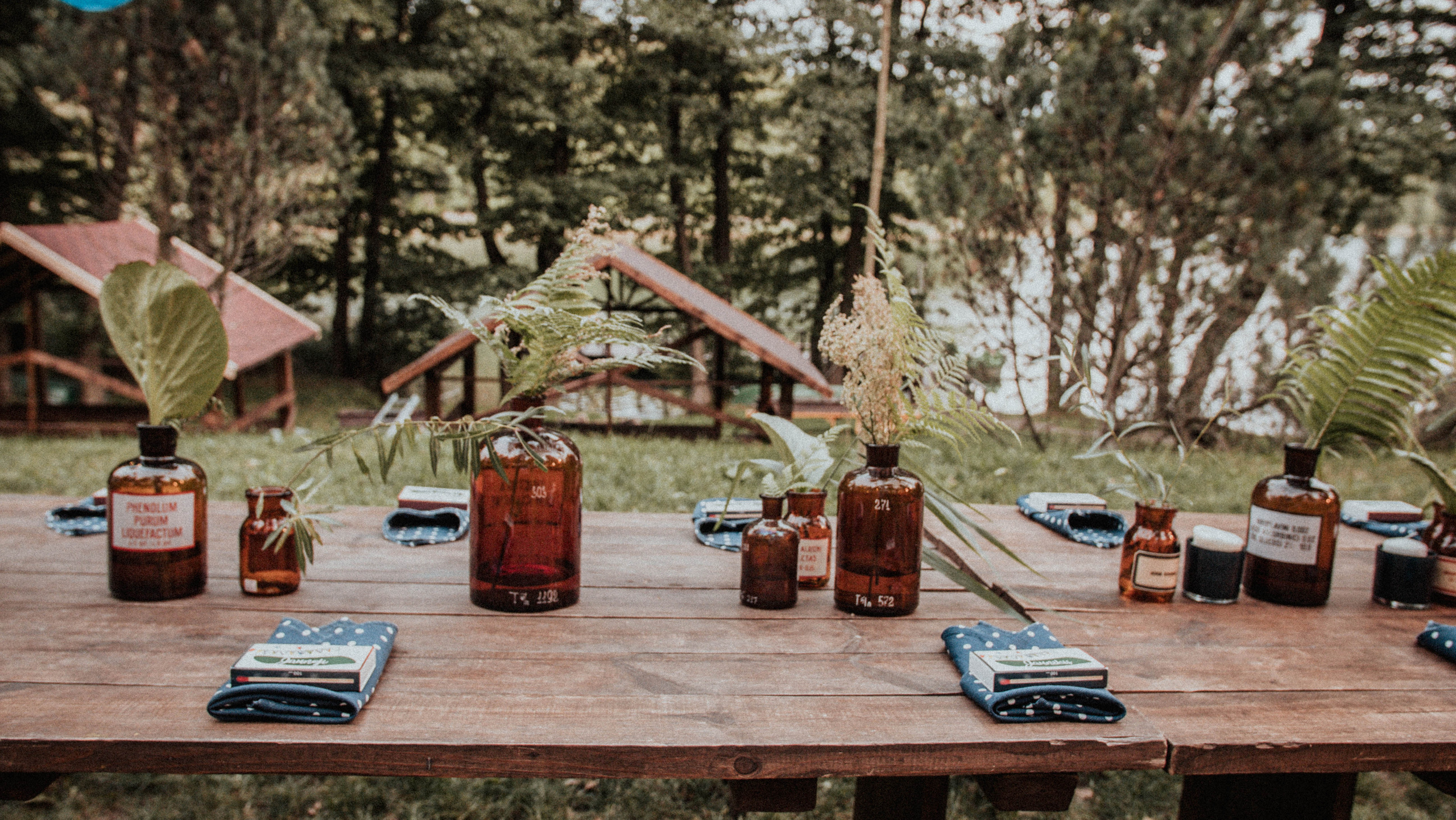 Dainius // Viktorija. Authentic Wedding Videography