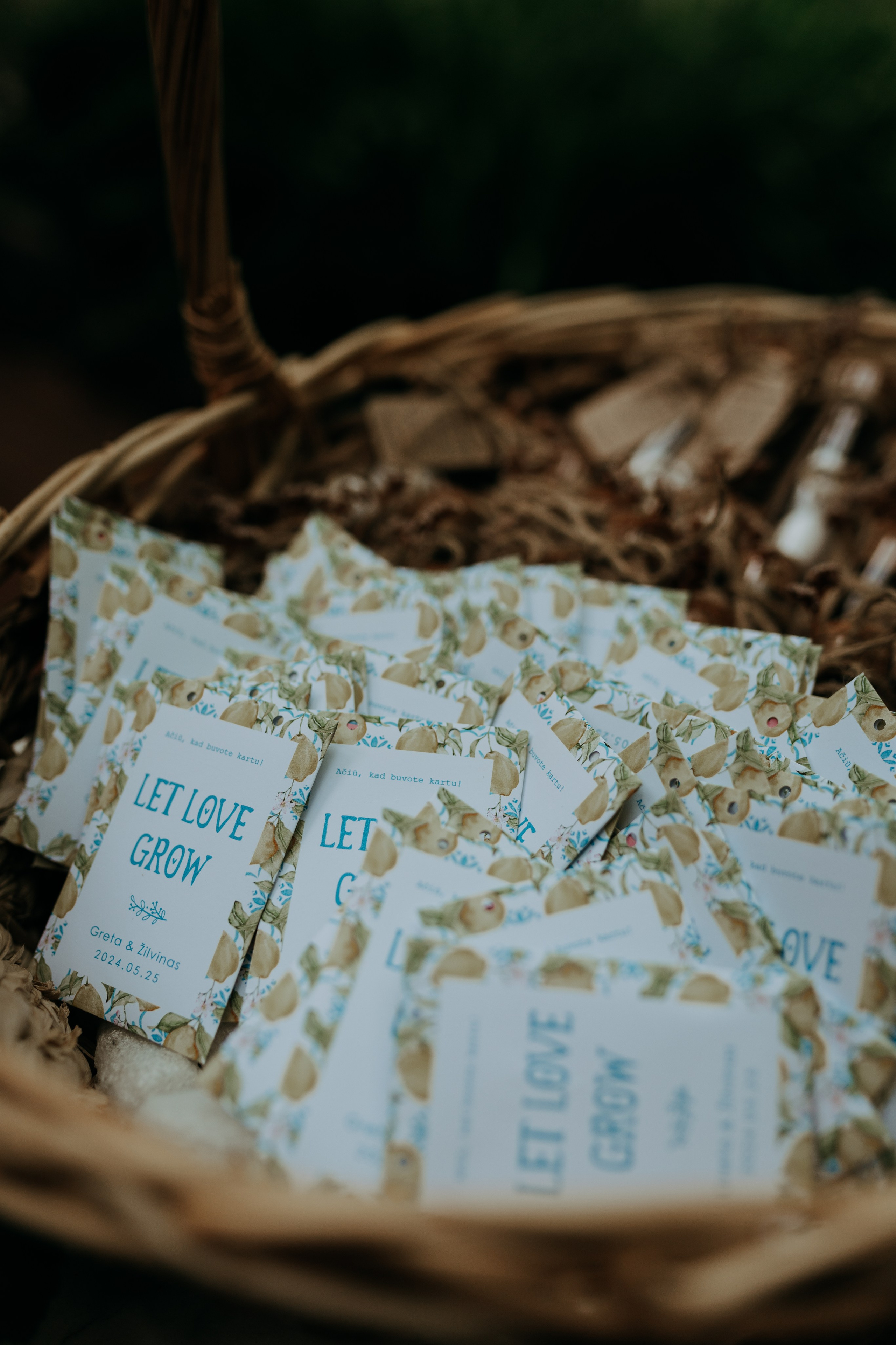 ZIlvinas ir Greta. Authentic Wedding Videography