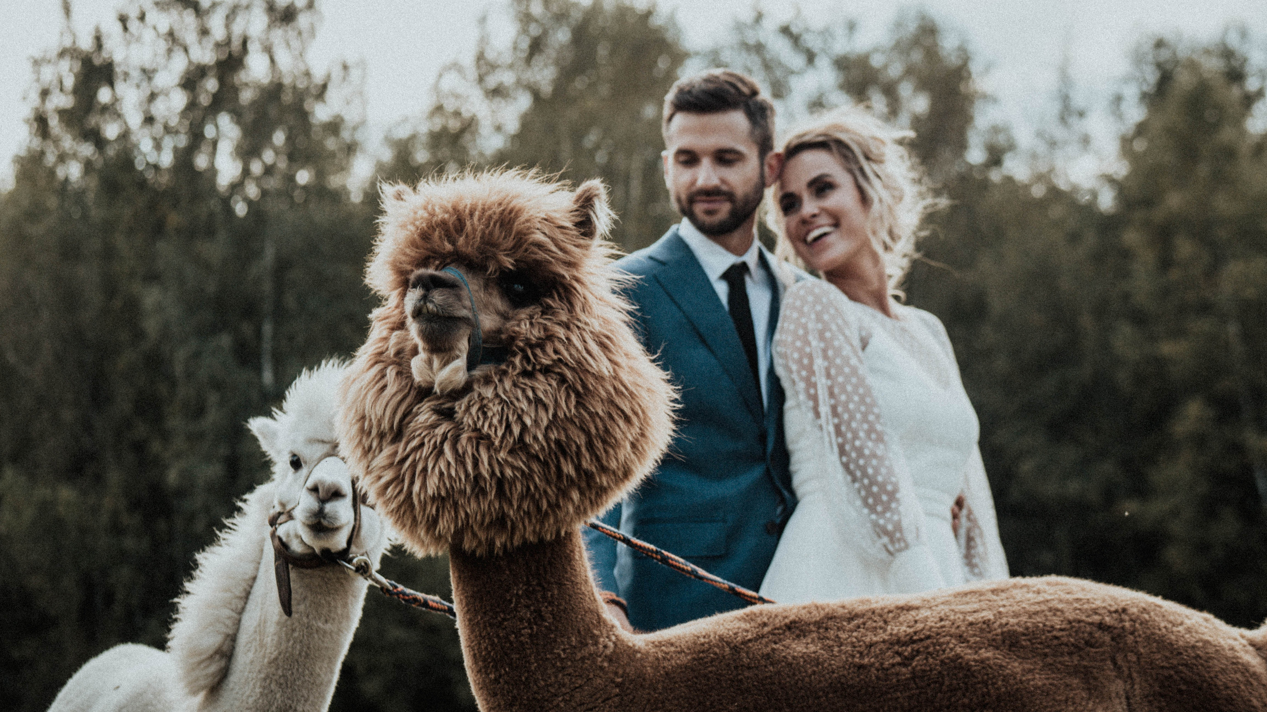 Dainius // Viktorija. Authentic Wedding Videography