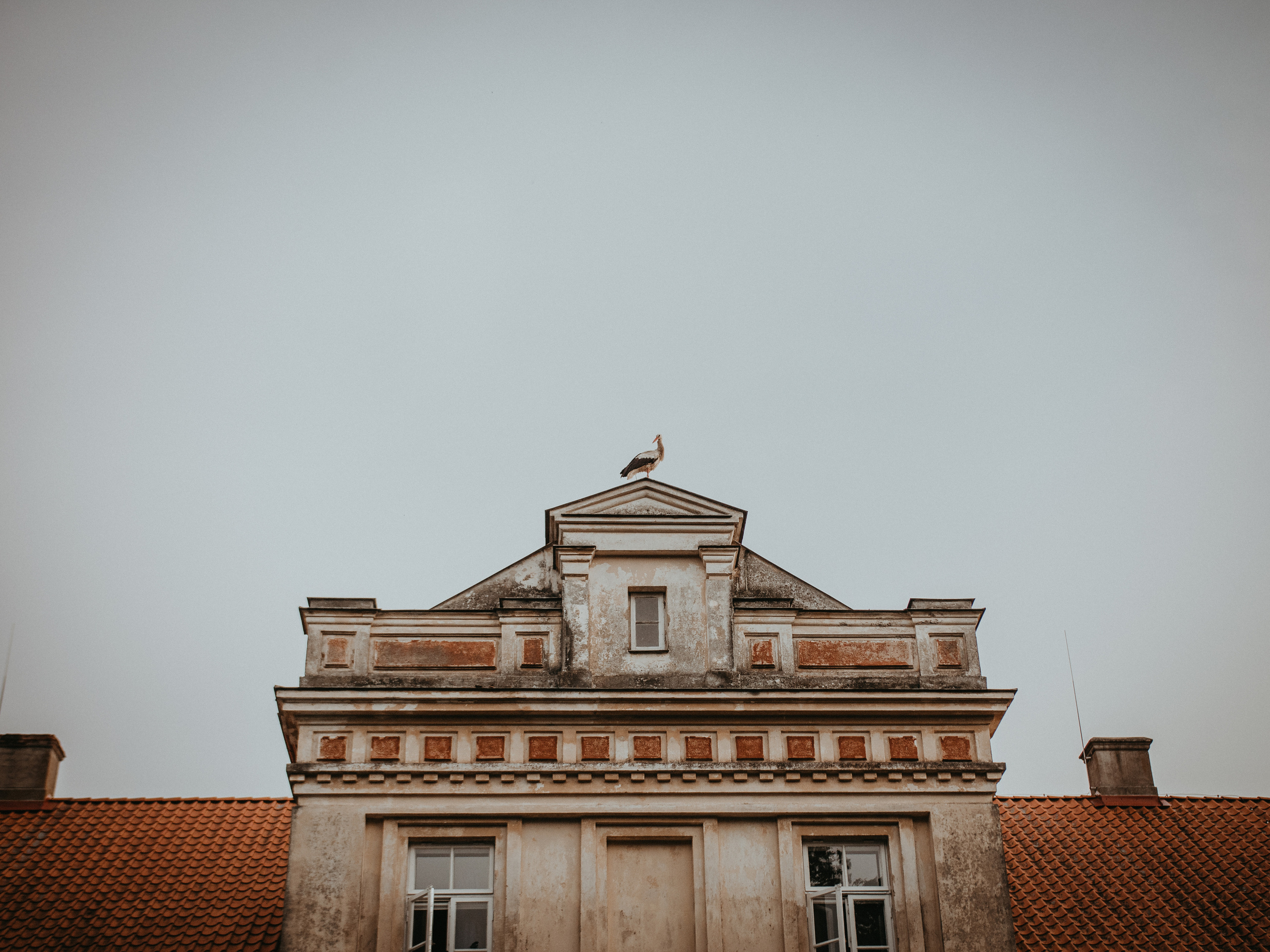 Tomas / Ivona. Authentic Wedding Videography