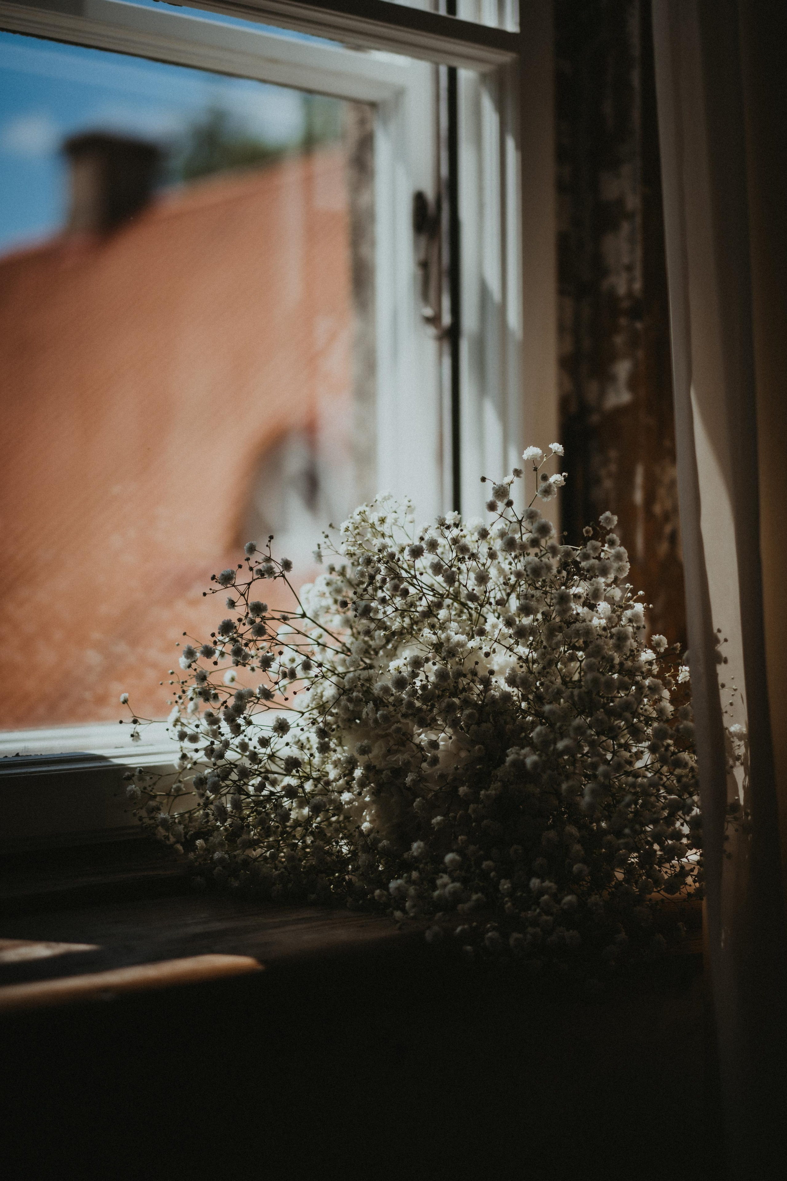 EMils Izabele. Authentic Wedding Videography