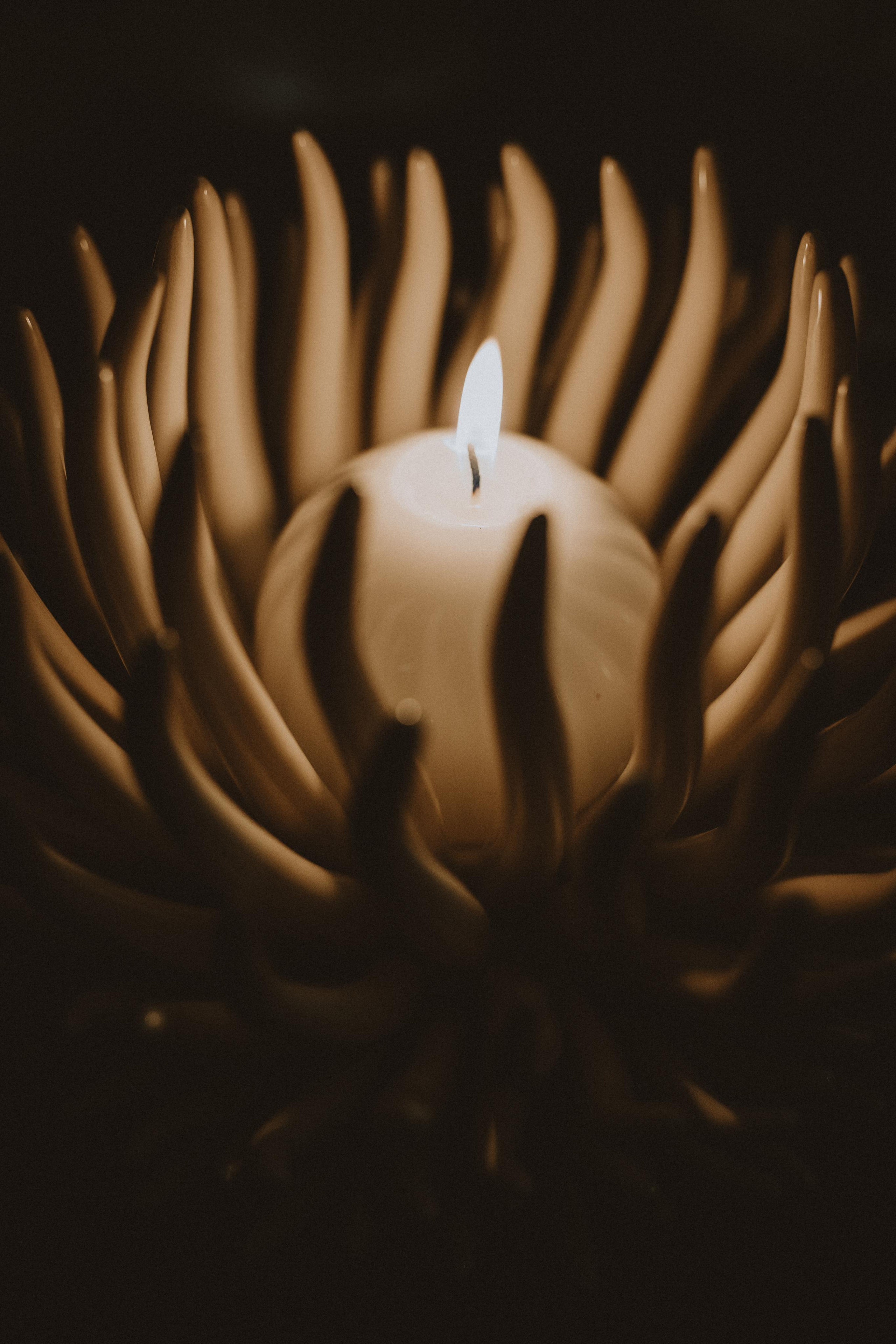 Saule Matas. Authentic Wedding Videography